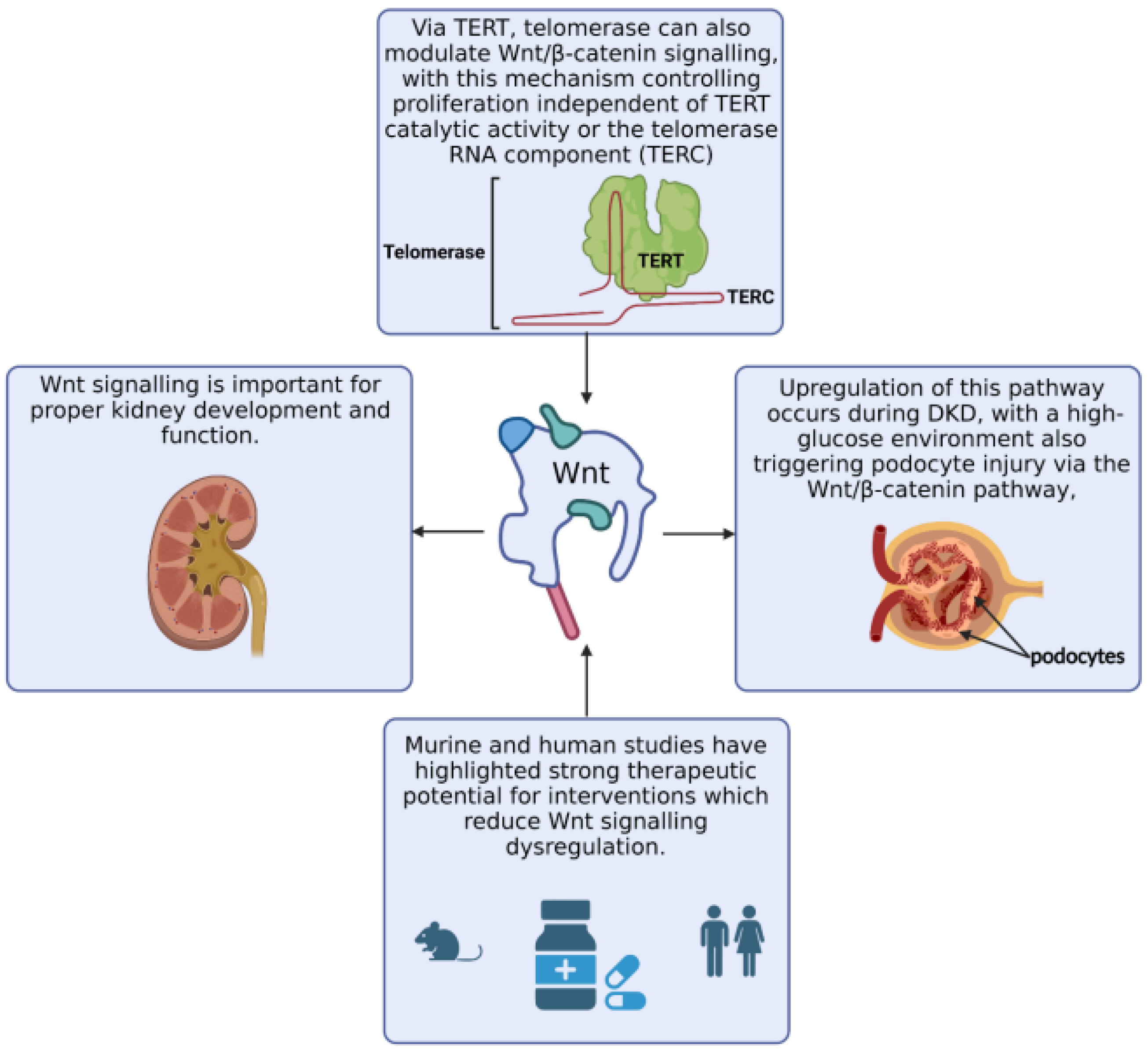 Genes 14 01029 g007 Genes 14 01029 g007