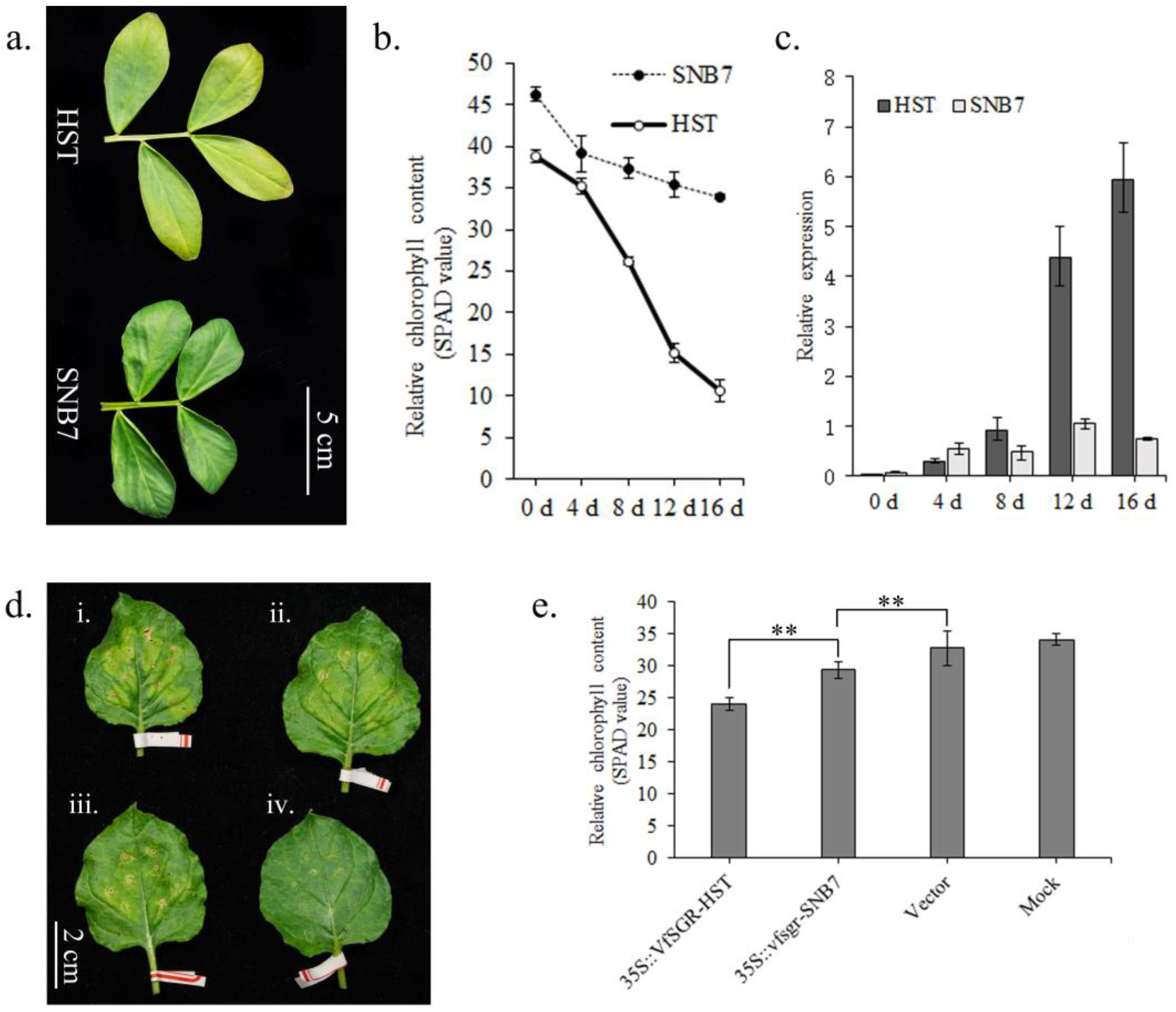 Genes 14 01030 g004 Genes 14 01030 g004