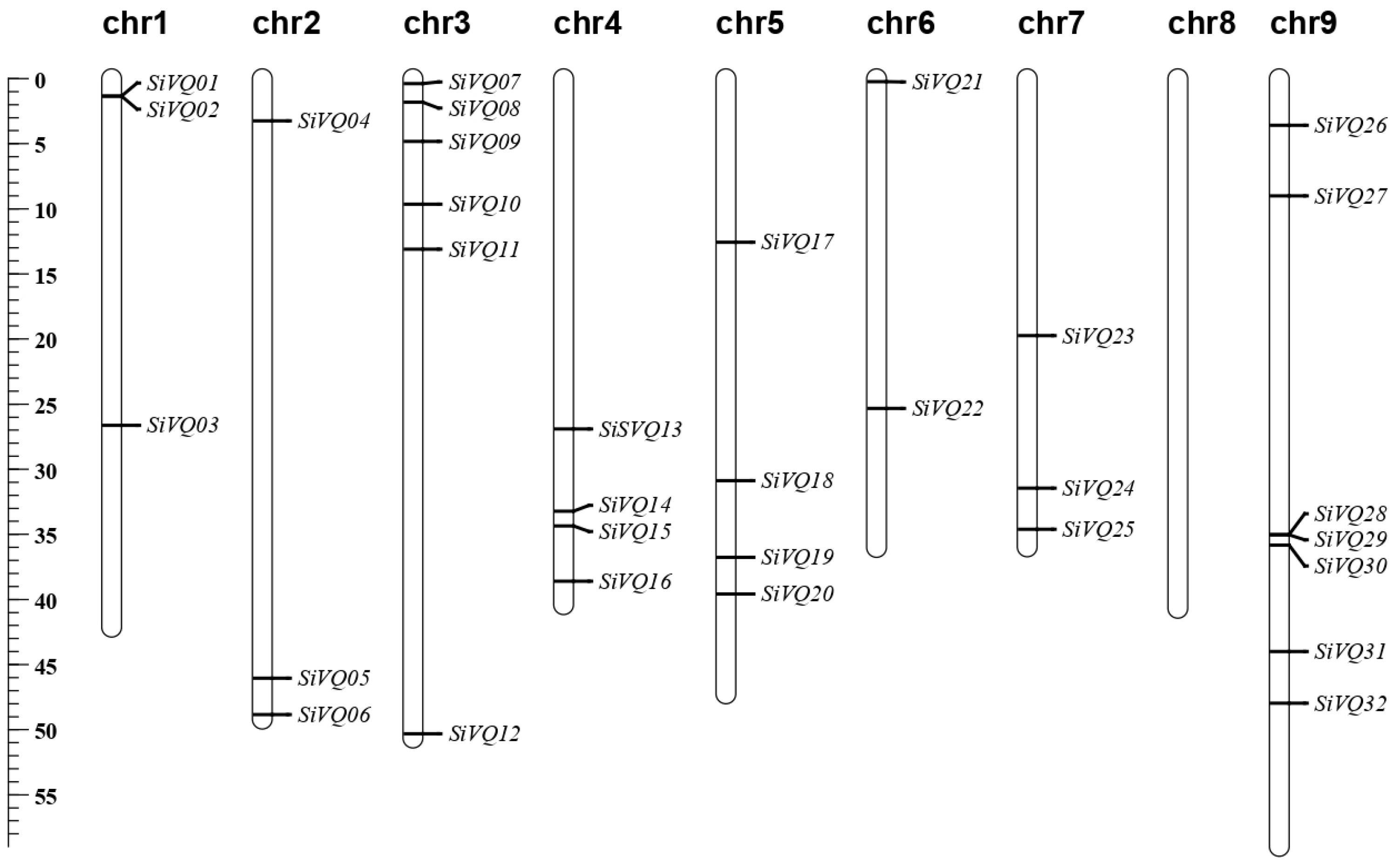 Genome-Wide Identification and Characterization of the VQ