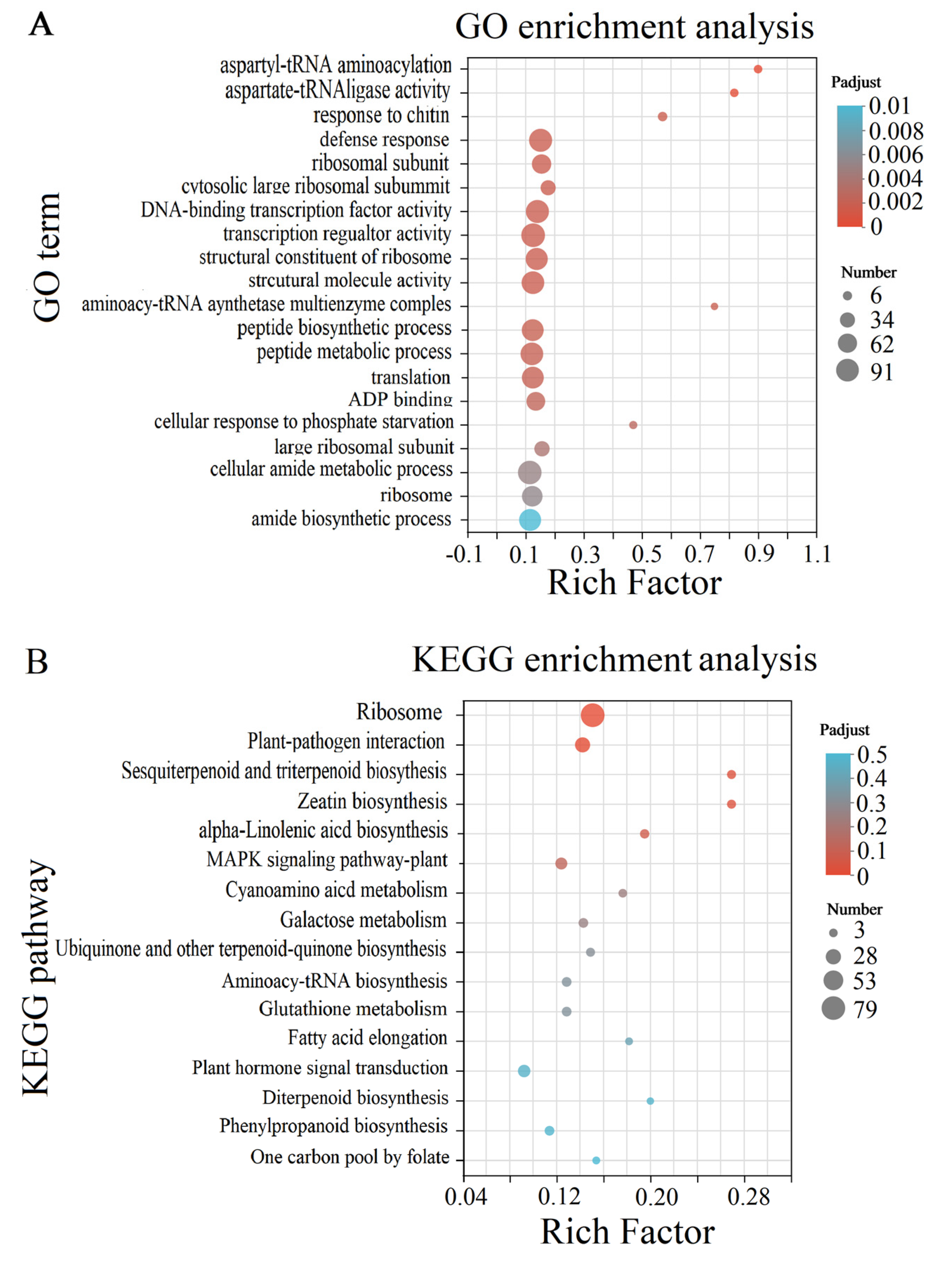 Genes 14 01040 g003 Genes 14 01040 g003