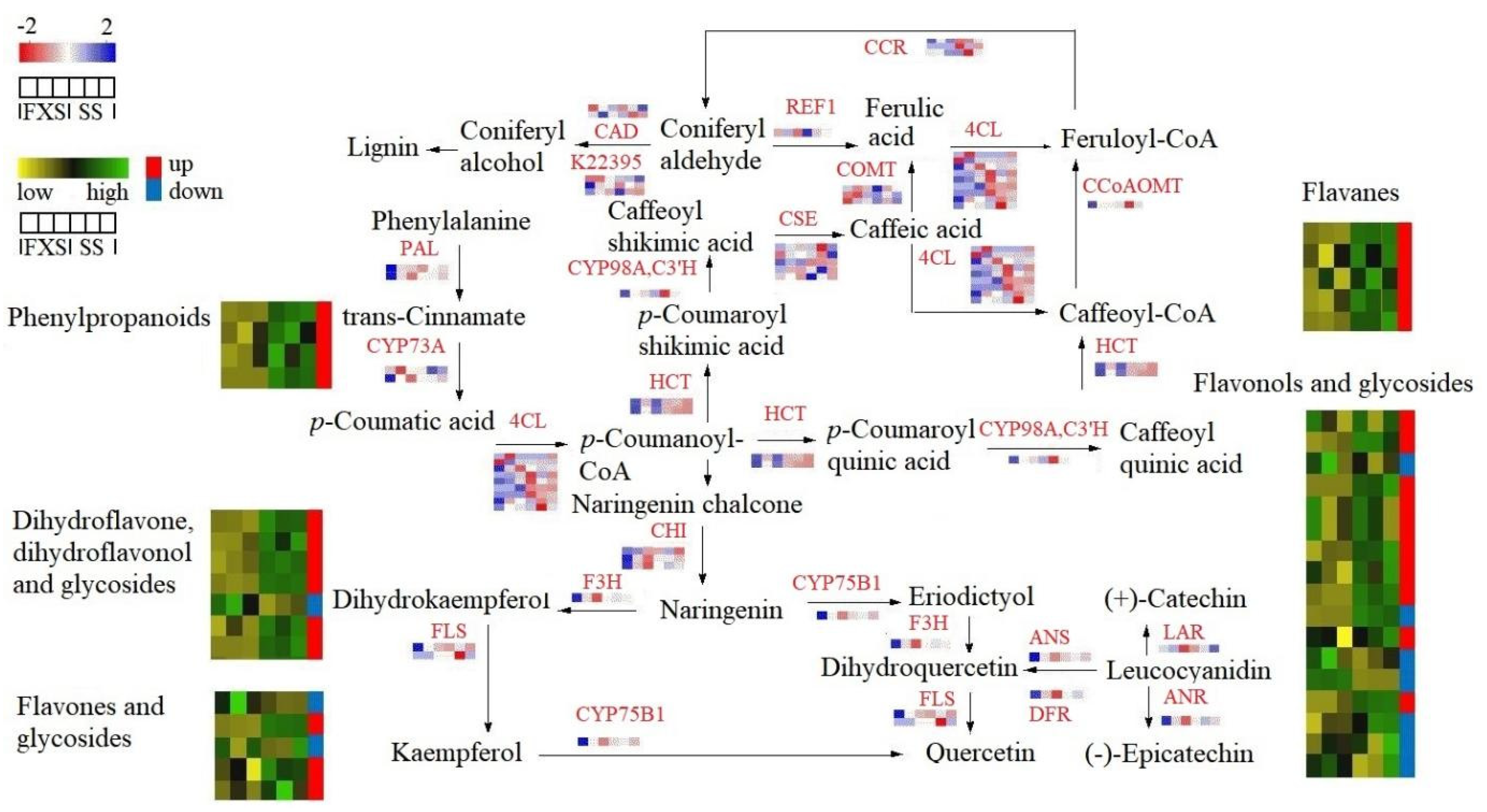 Genes 14 01040 g004 Genes 14 01040 g004