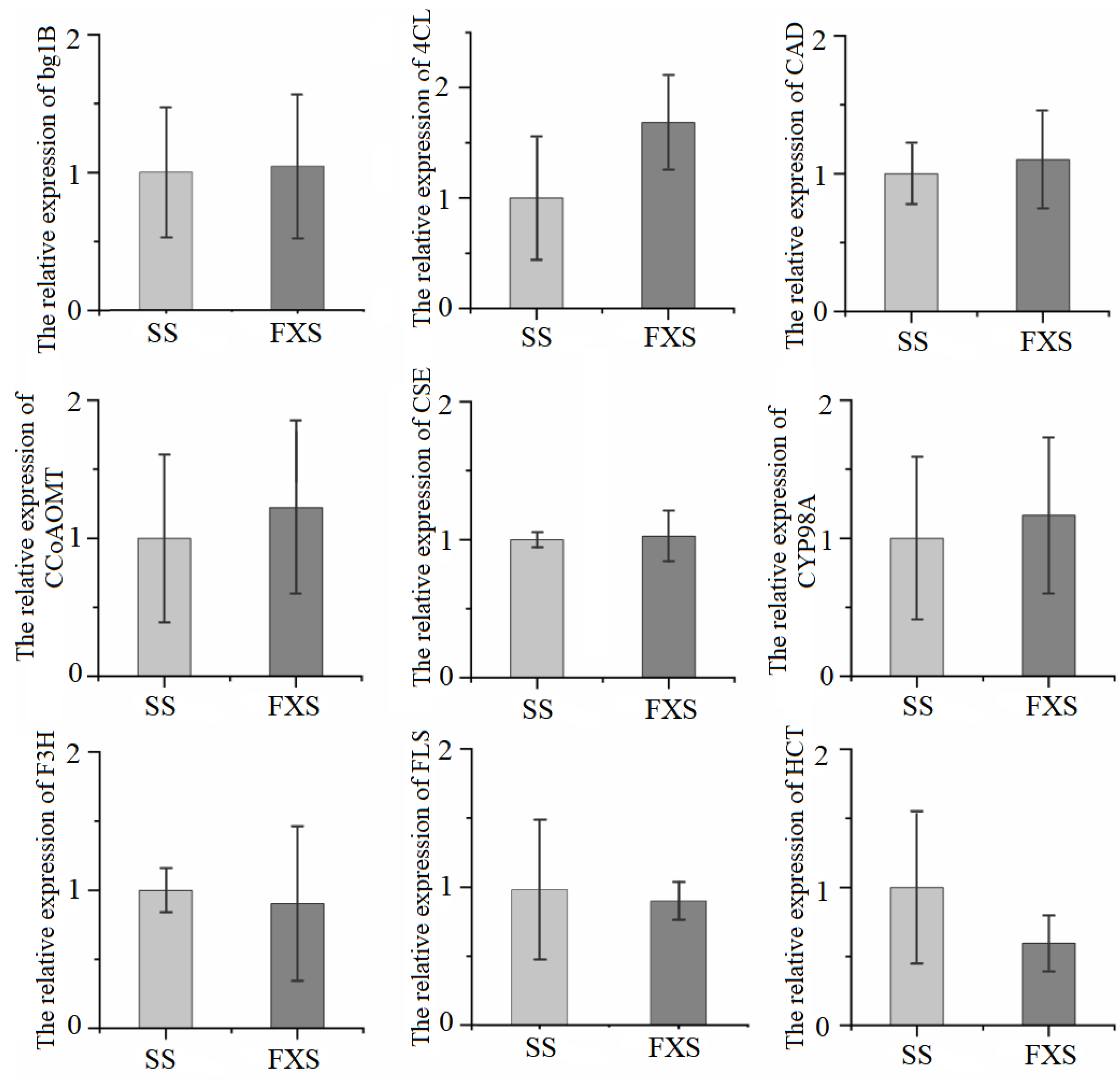 Genes 14 01040 g005 Genes 14 01040 g005
