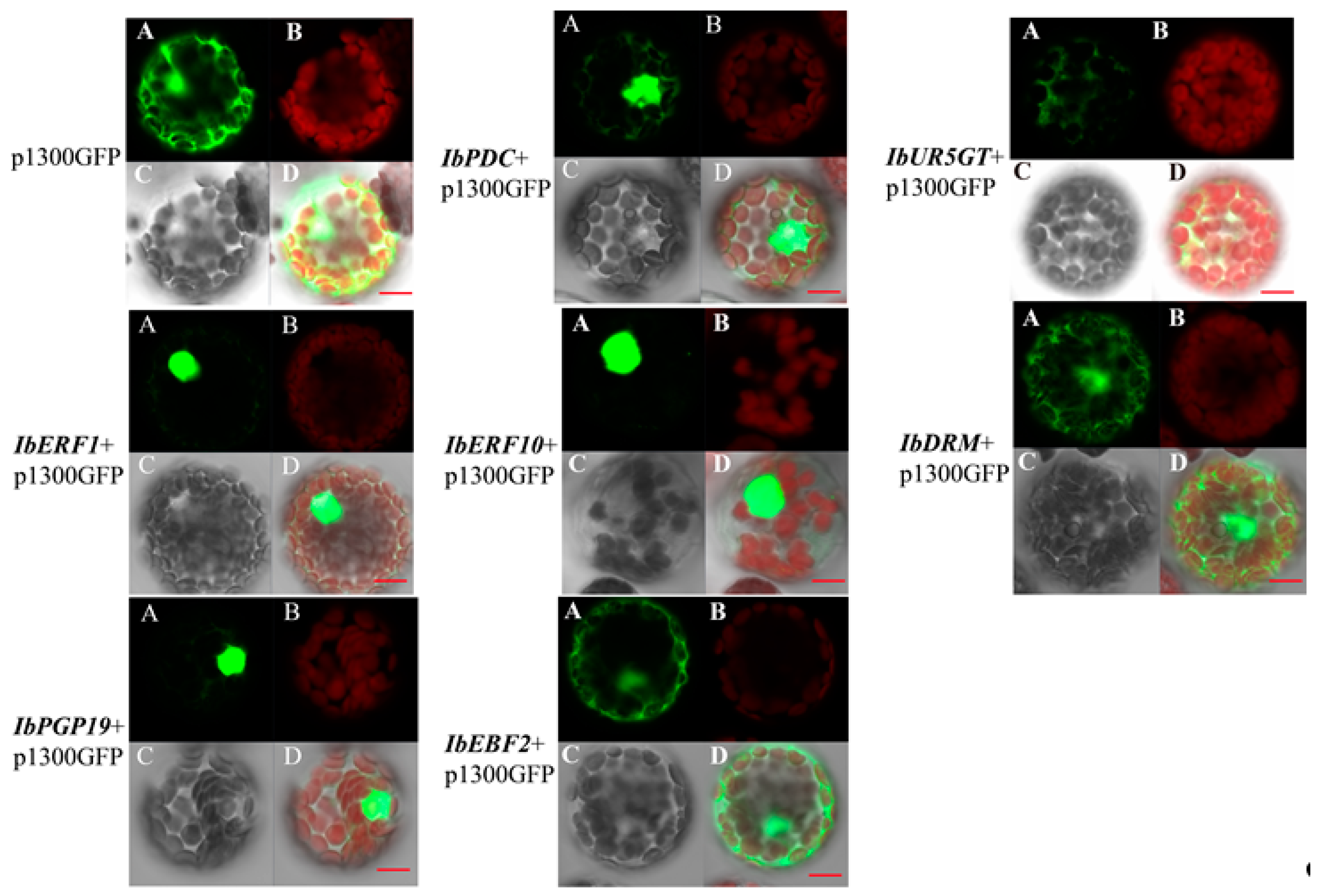 Genes 14 01042 g004 Genes 14 01042 g004