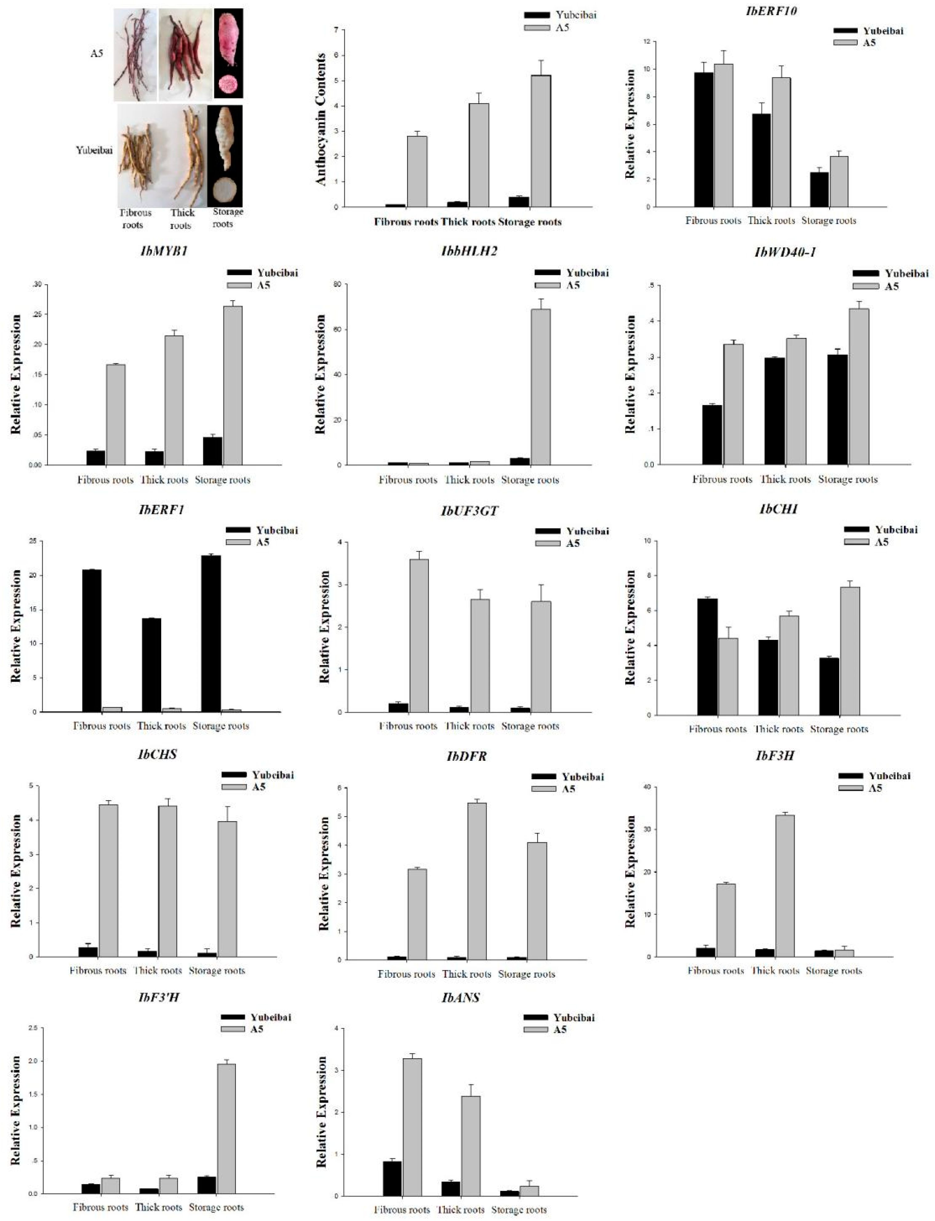 Genes 14 01042 g005 Genes 14 01042 g005