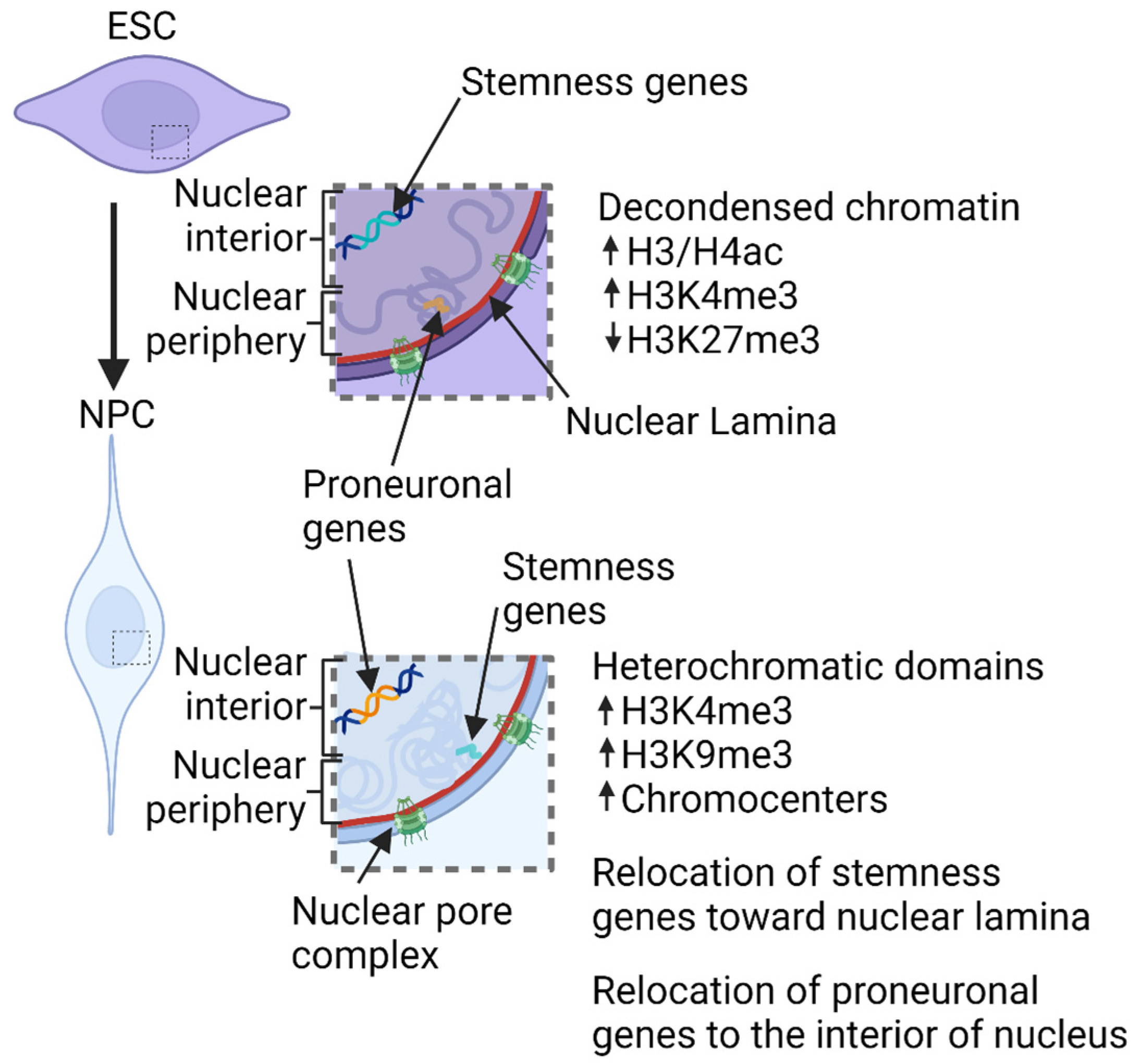 Genes 14 01046 g001 Genes 14 01046 g001