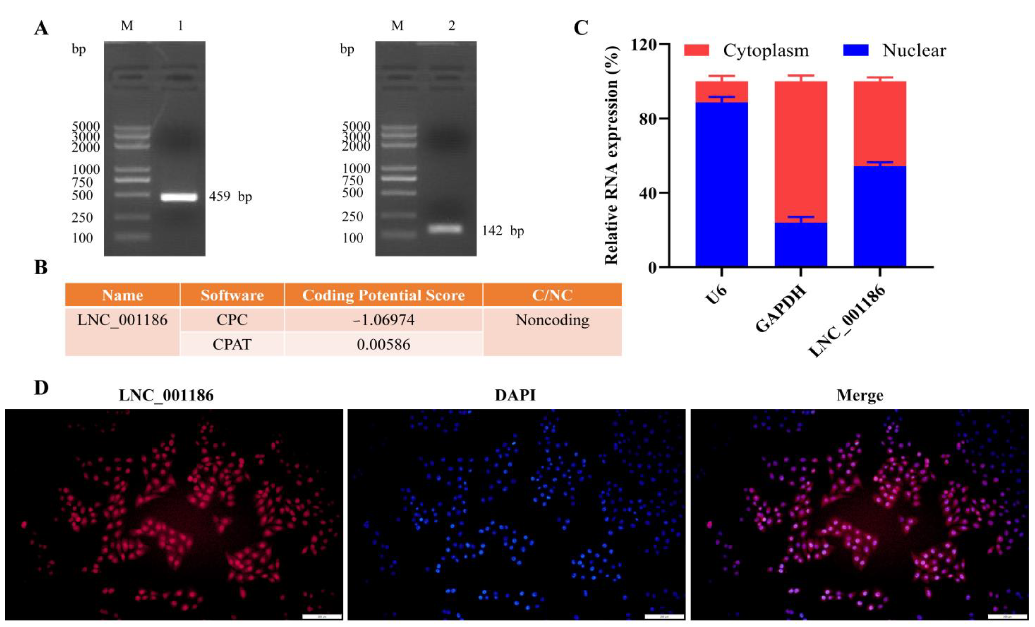 Genes 14 01047 g001 Genes 14 01047 g001