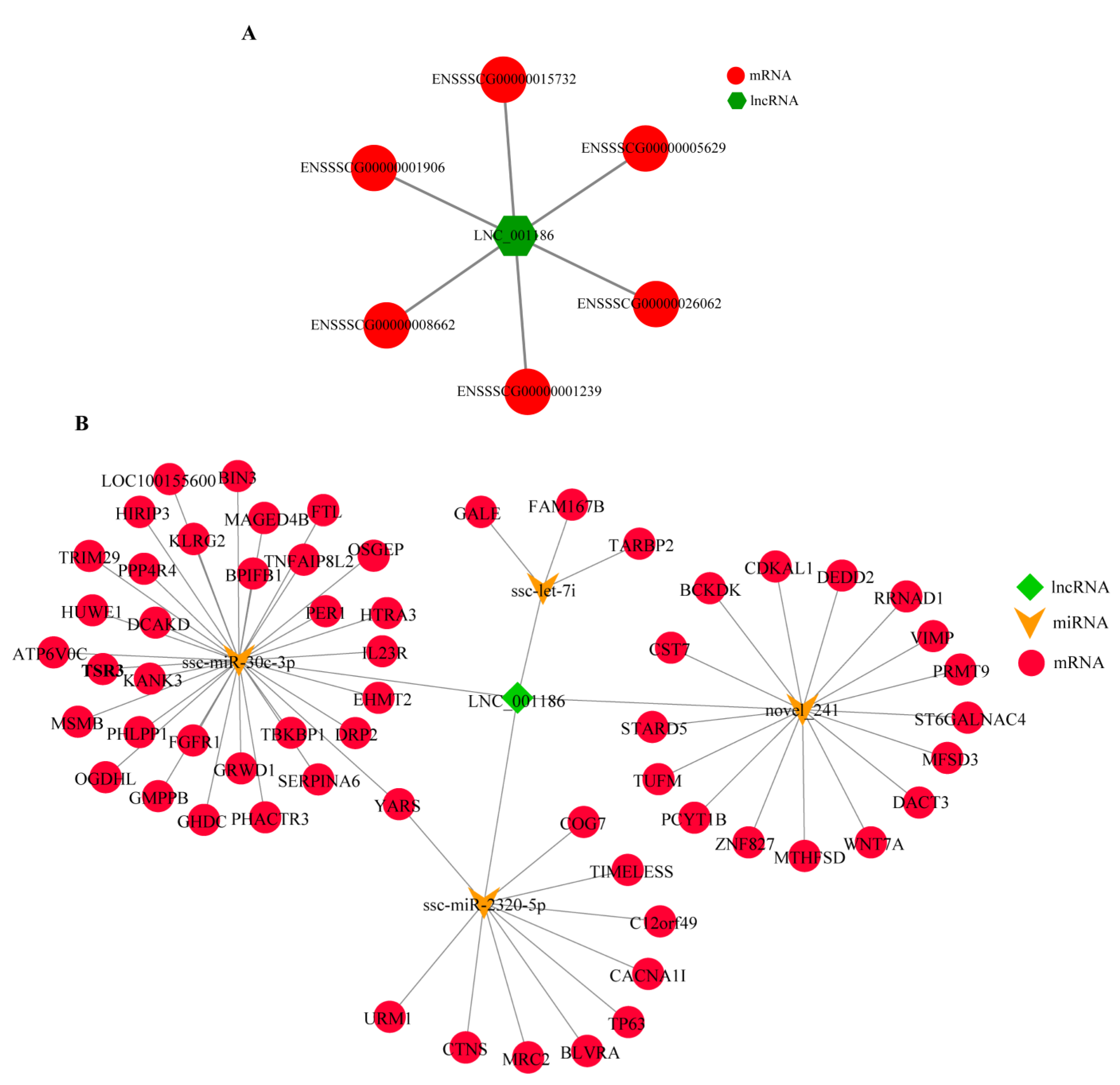 Genes 14 01047 g002 Genes 14 01047 g002