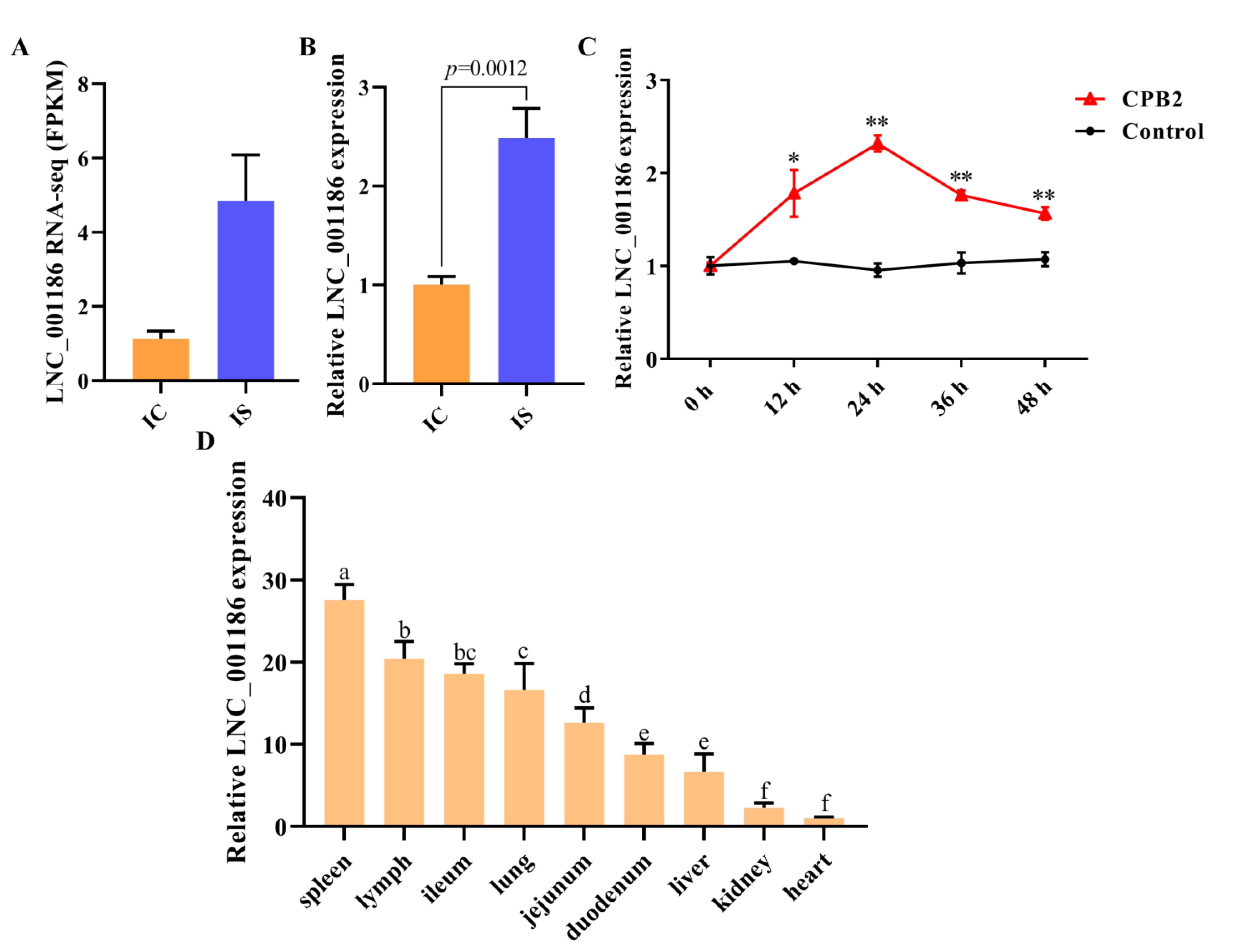 Genes 14 01047 g003 Genes 14 01047 g003