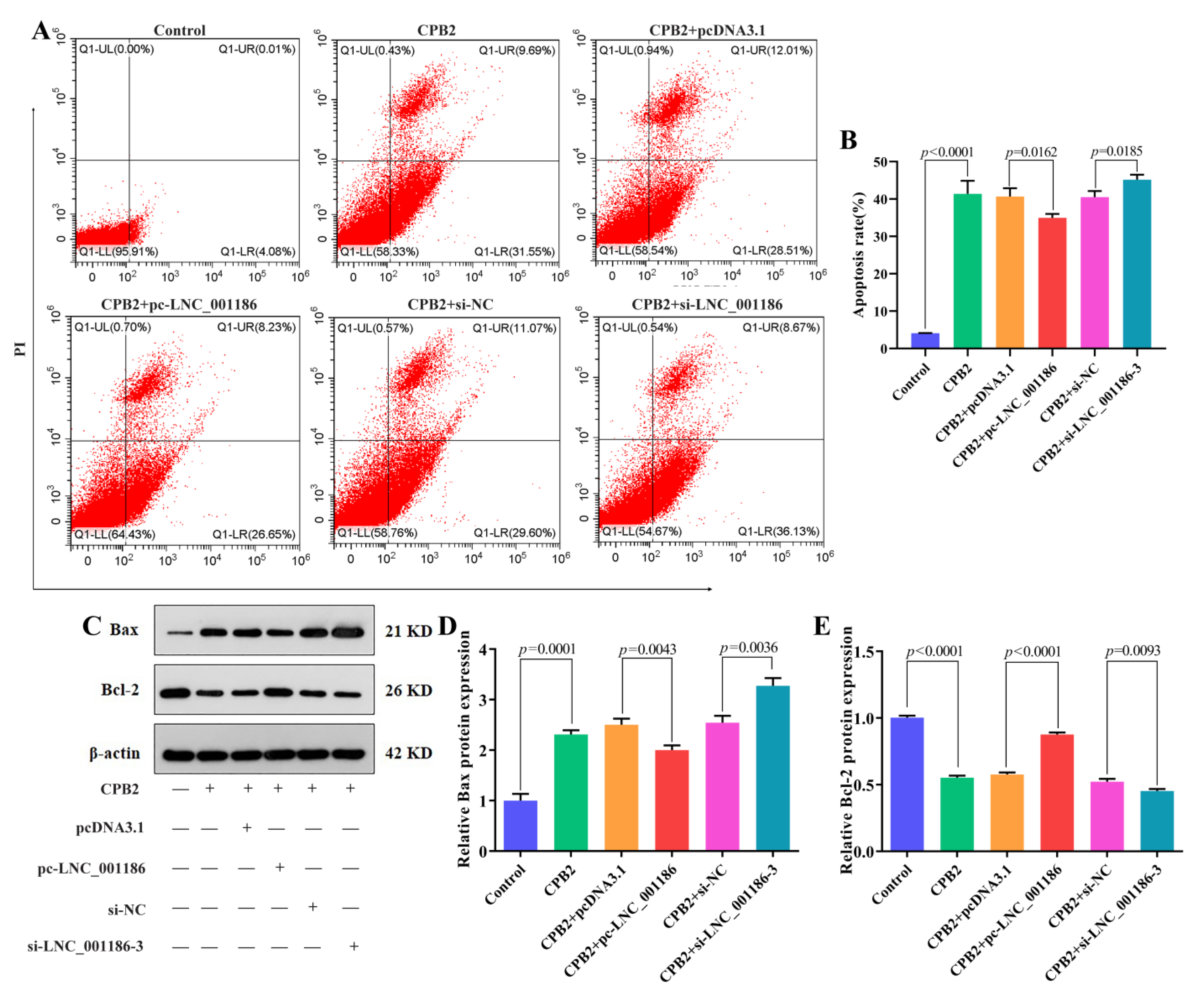 Genes 14 01047 g005 Genes 14 01047 g005