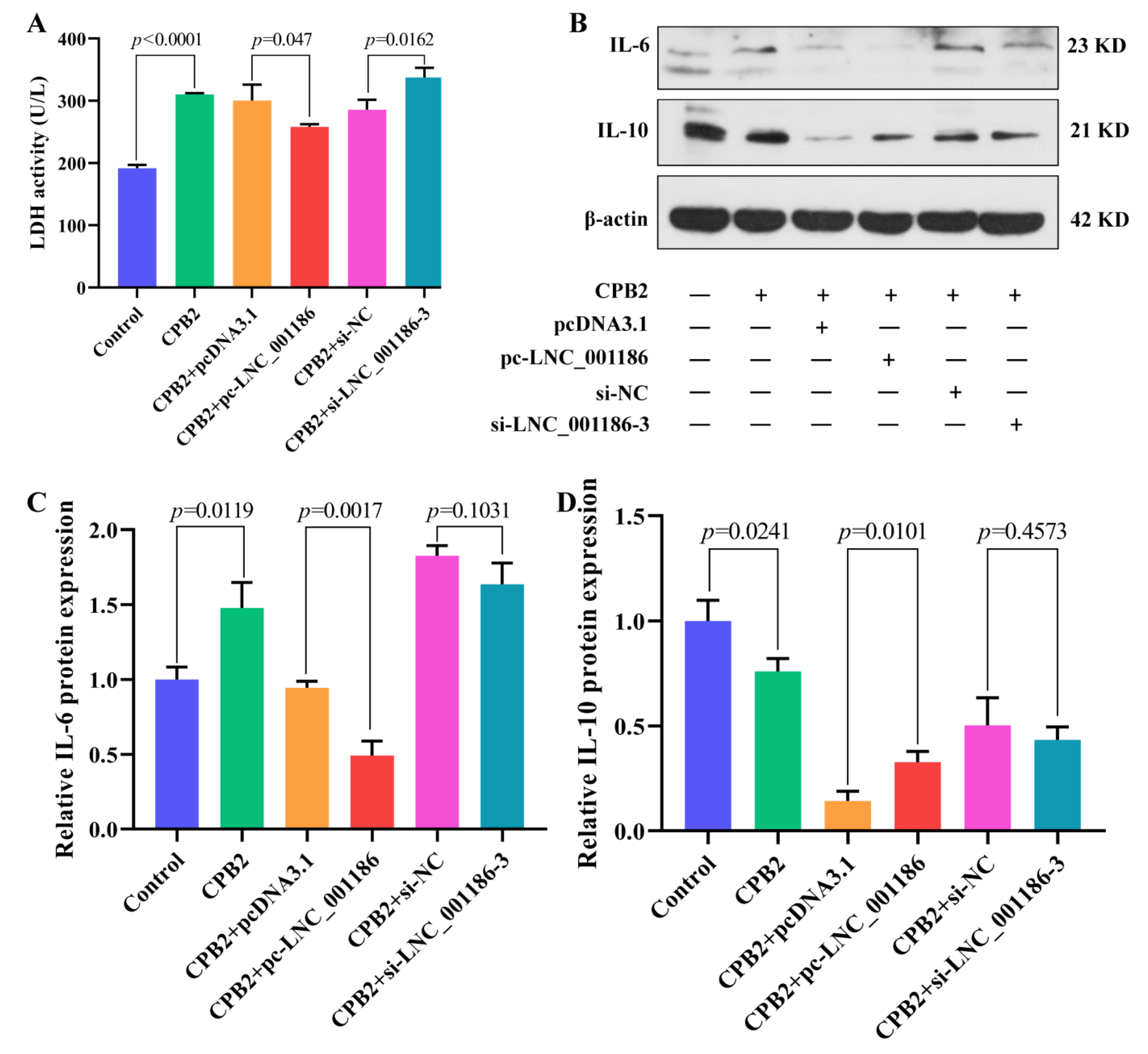 Genes 14 01047 g006 Genes 14 01047 g006