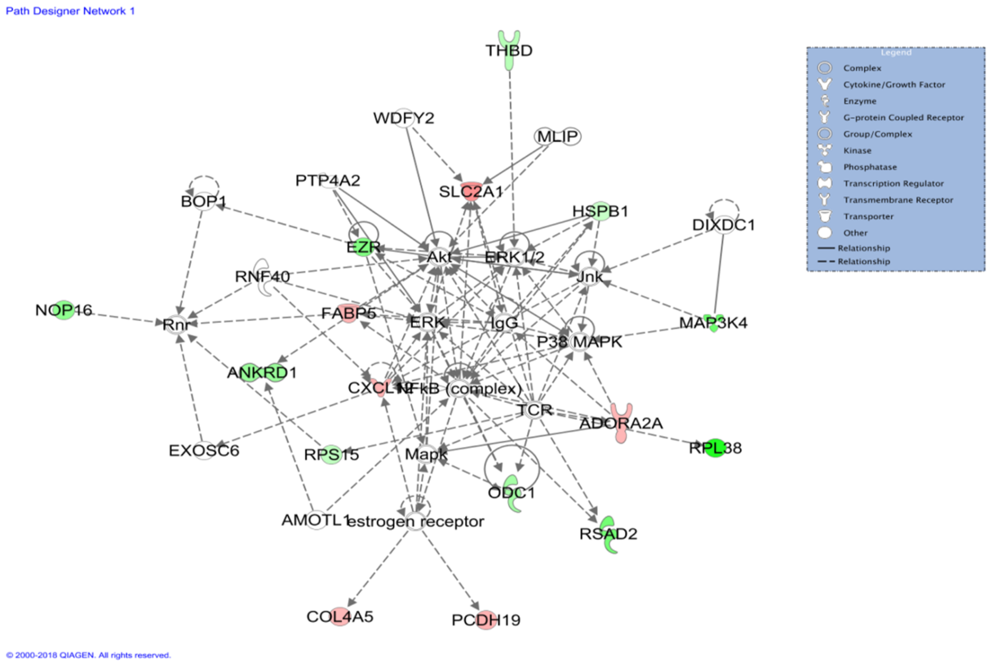 Genes 14 01048 g005 Genes 14 01048 g005