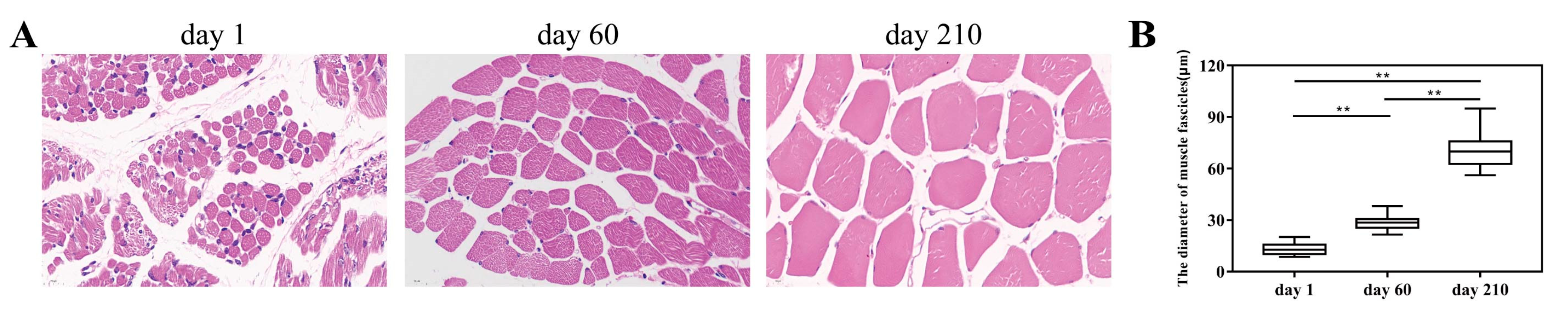 Genes 14 01050 g001 Genes 14 01050 g001