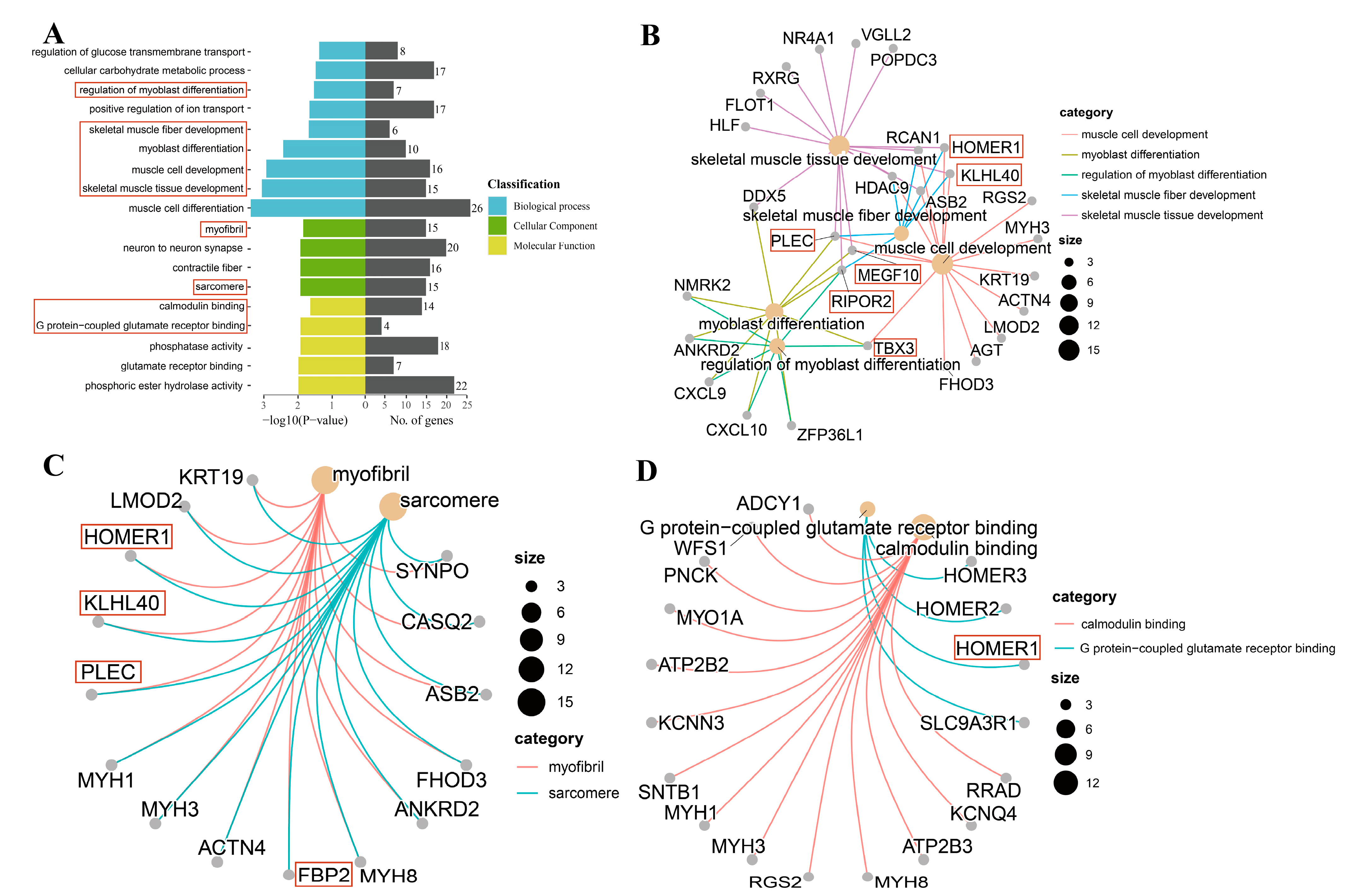 Genes 14 01050 g003 Genes 14 01050 g003