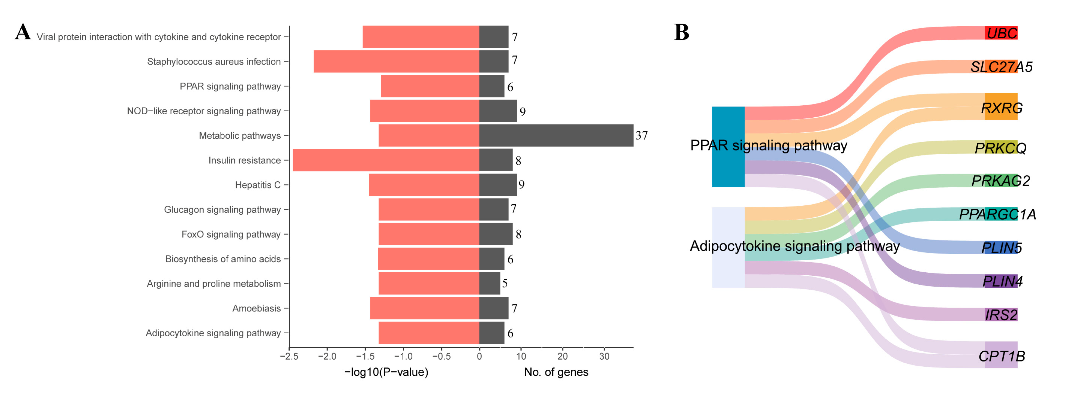Genes 14 01050 g004 Genes 14 01050 g004