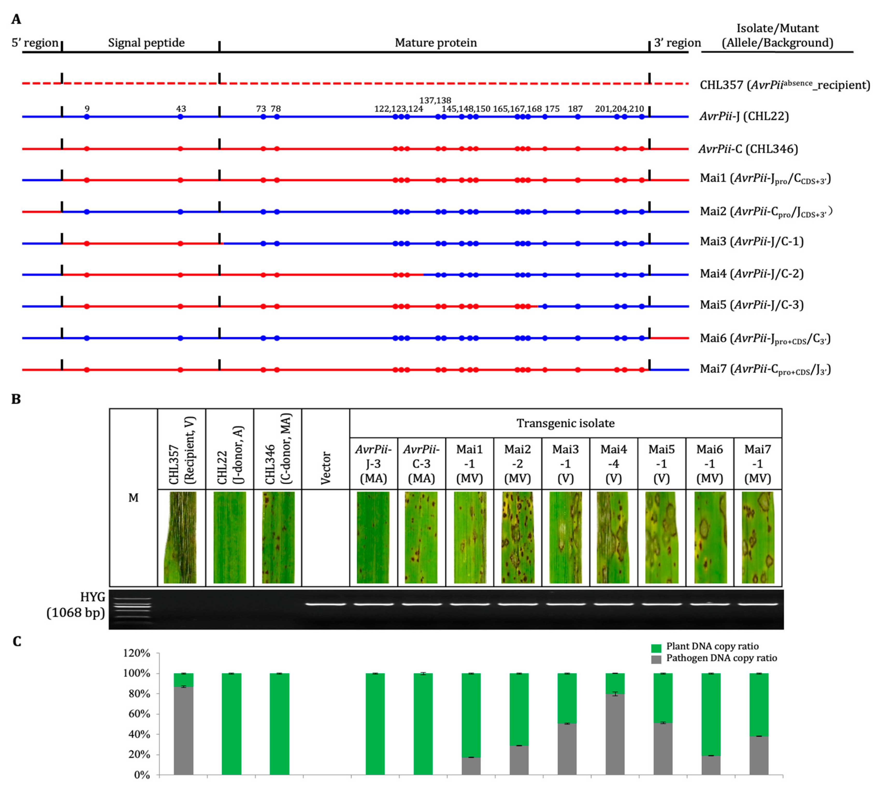 Genes 14 01065 g002 Genes 14 01065 g002
