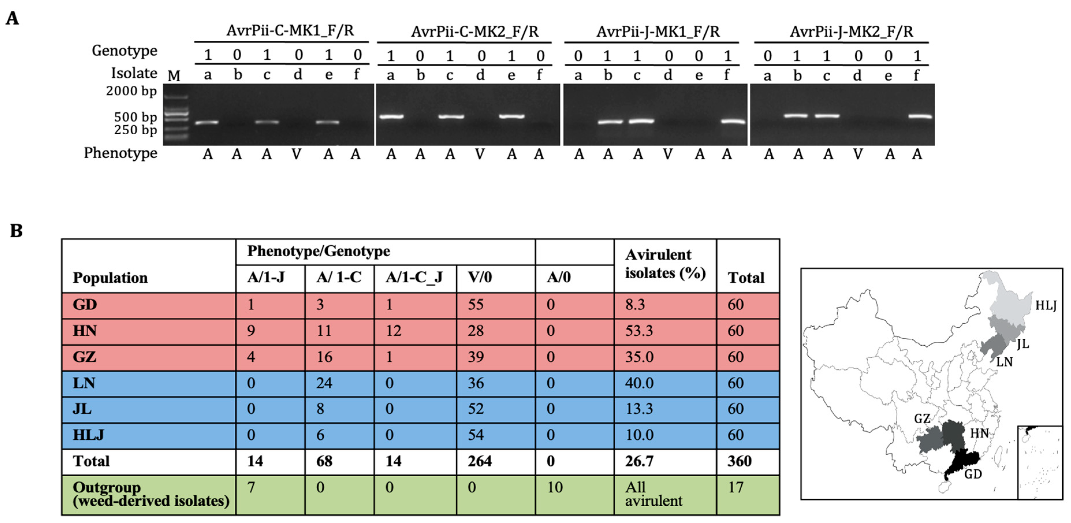 Genes 14 01065 g003 Genes 14 01065 g003