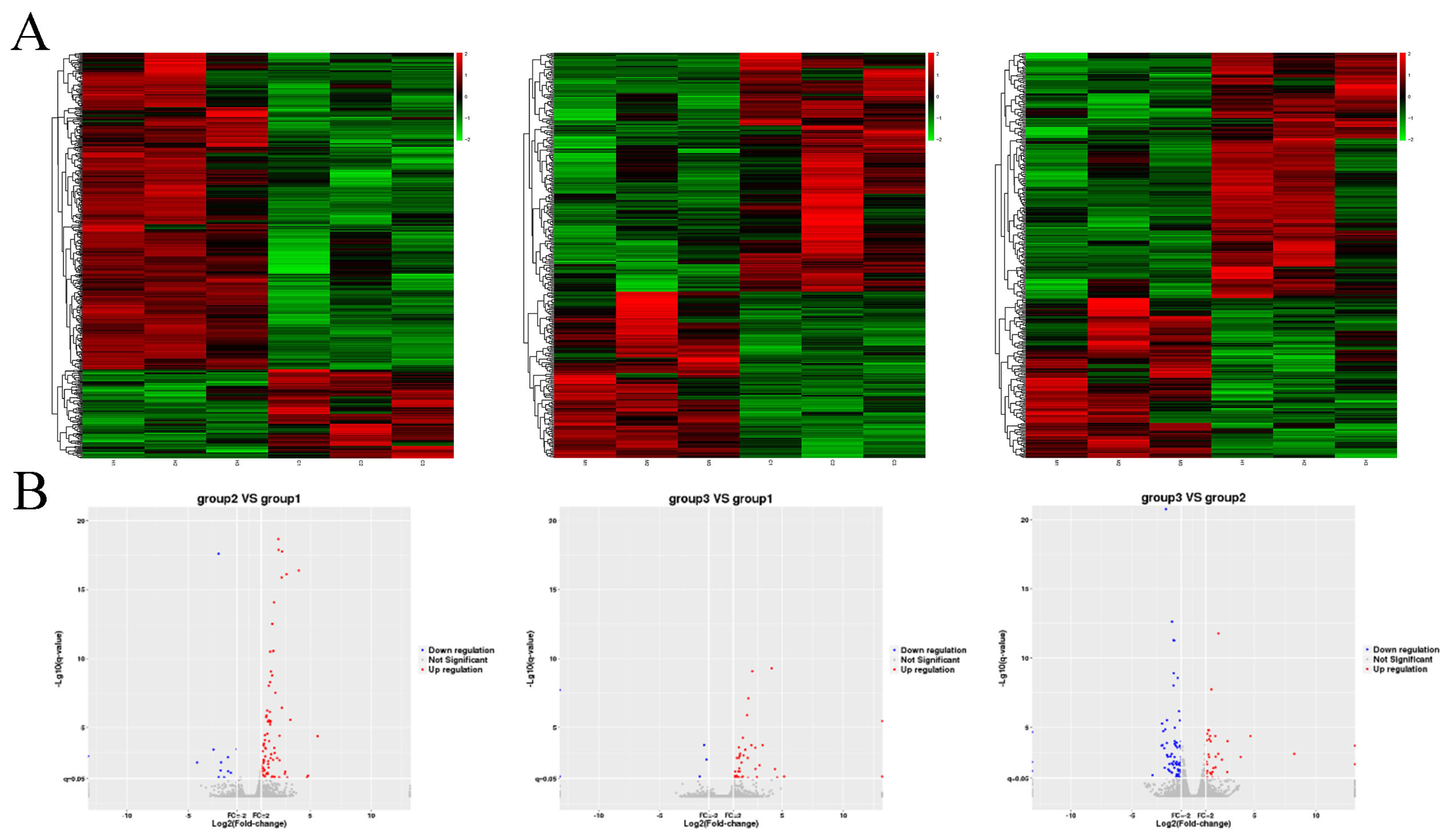 Genes 14 01067 g002 Genes 14 01067 g002