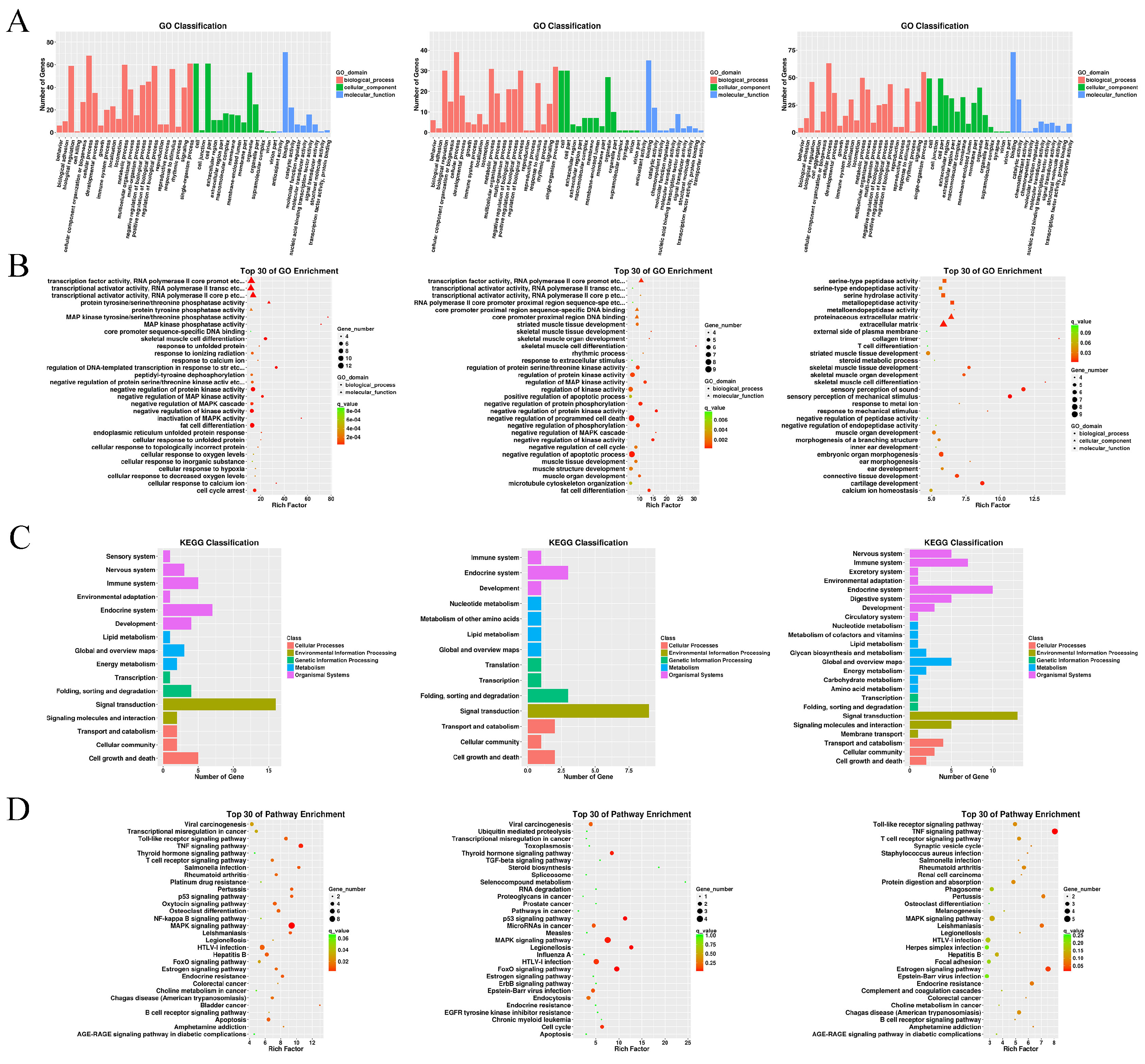 Genes 14 01067 g003 Genes 14 01067 g003