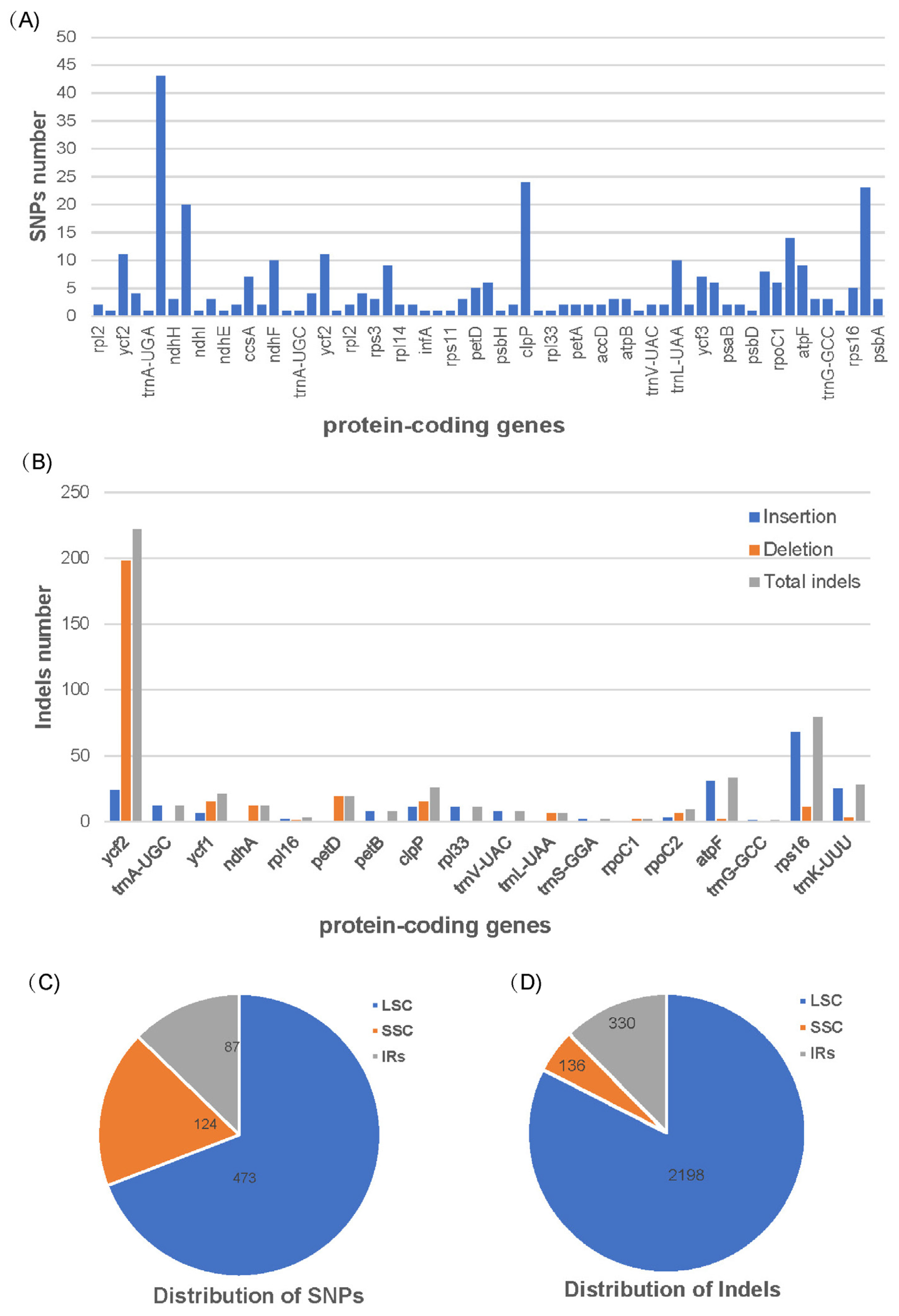 Genes 14 01069 g002 Genes 14 01069 g002