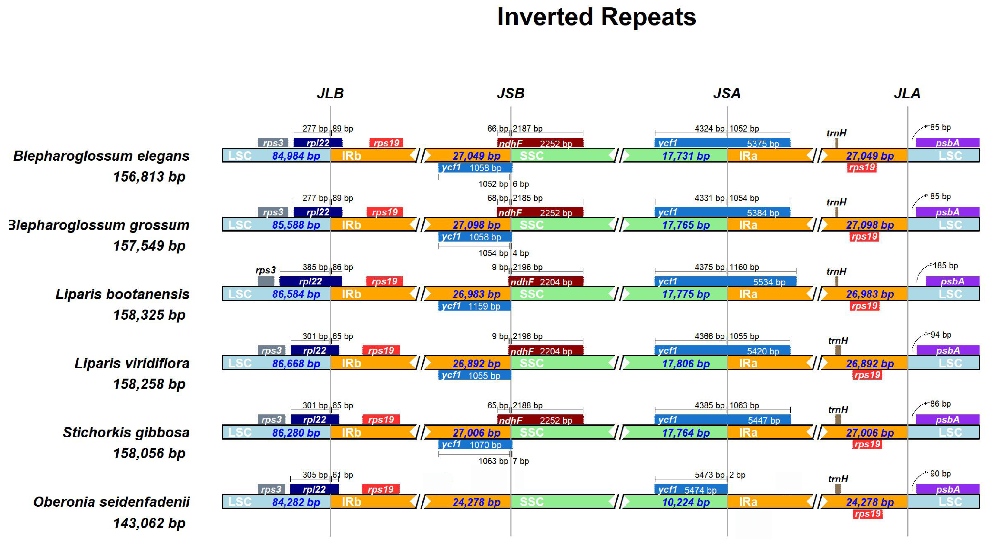 Genes 14 01069 g003 Genes 14 01069 g003