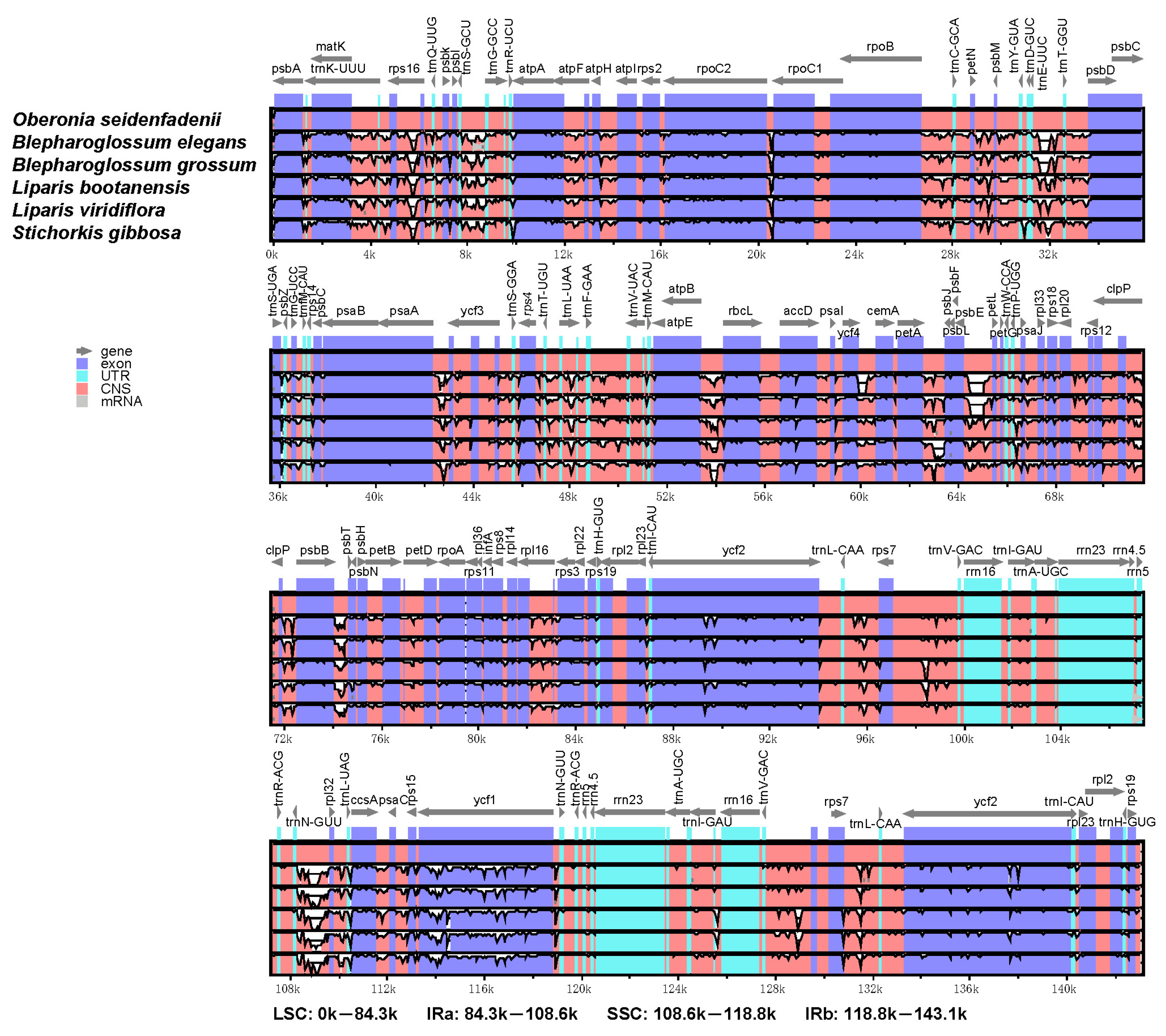 Genes 14 01069 g004 Genes 14 01069 g004