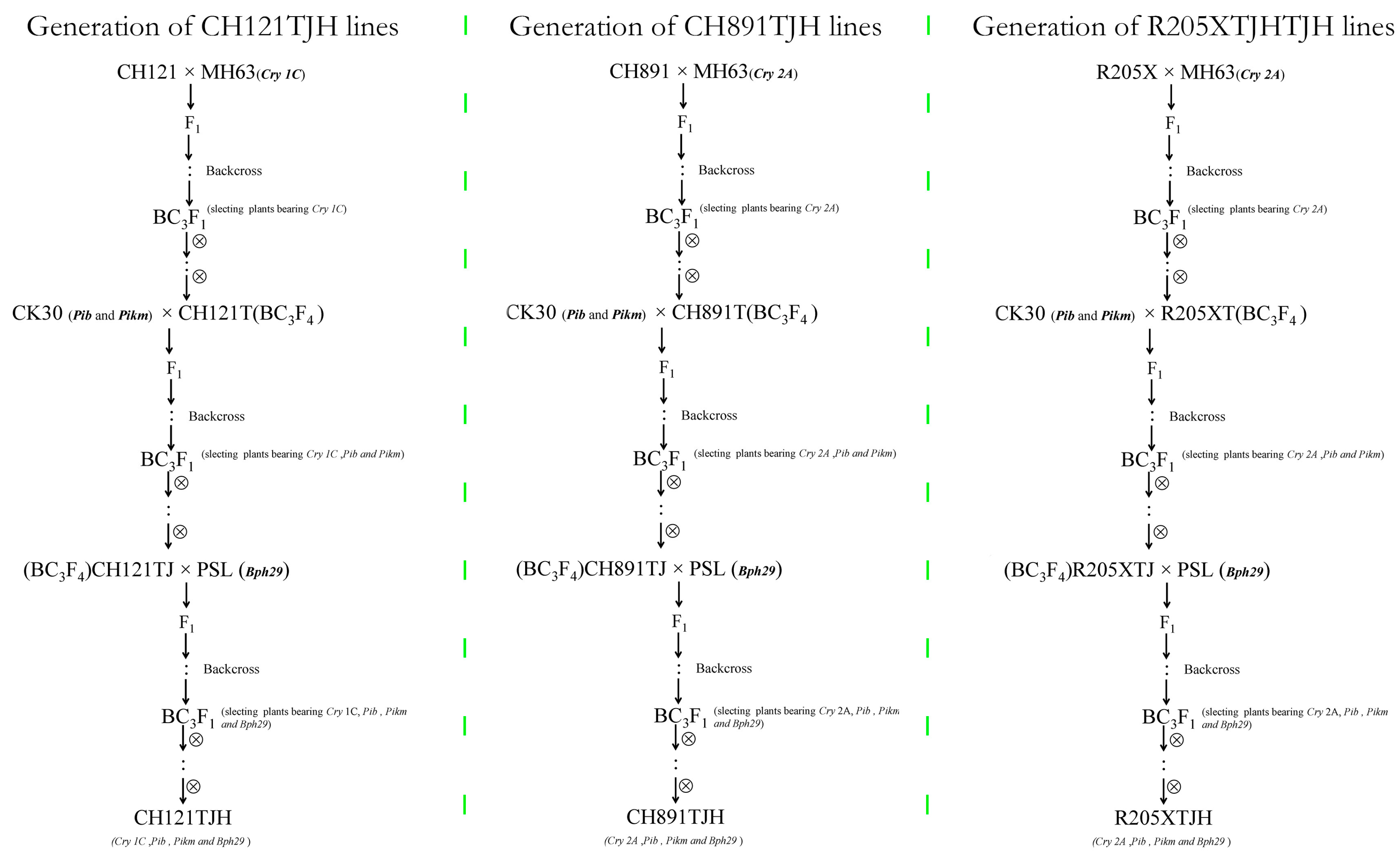 Genes 14 01070 g002 Genes 14 01070 g002