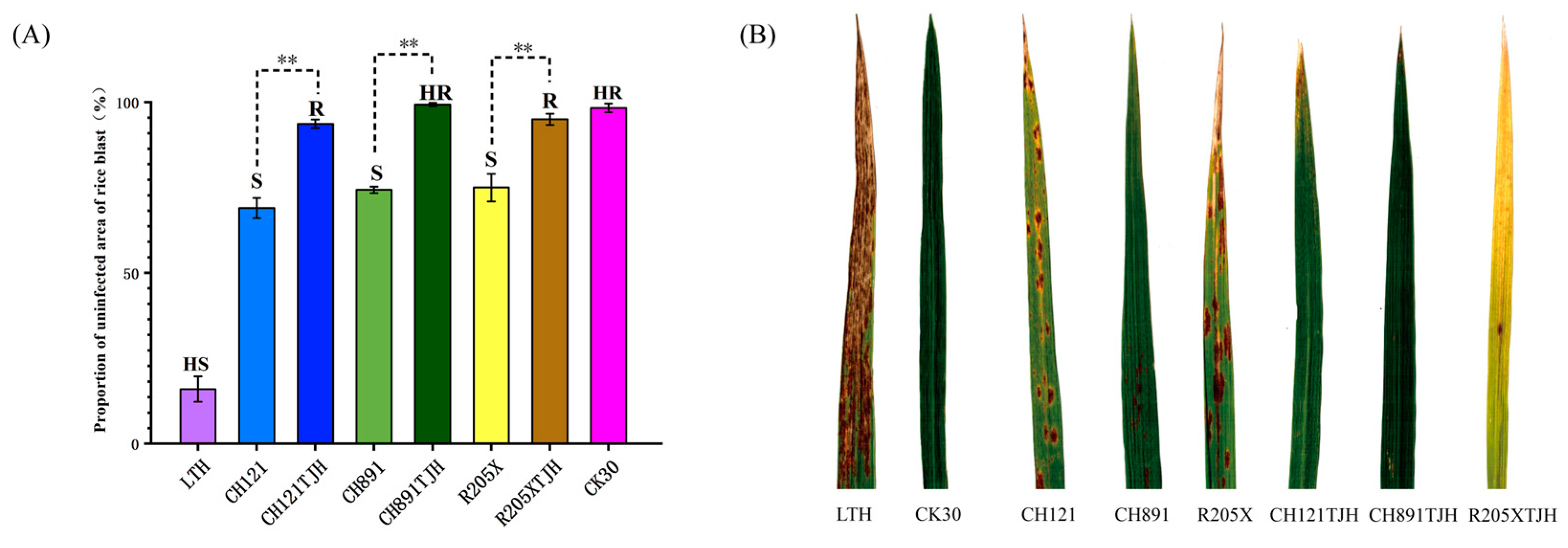 Genes 14 01070 g005 Genes 14 01070 g005