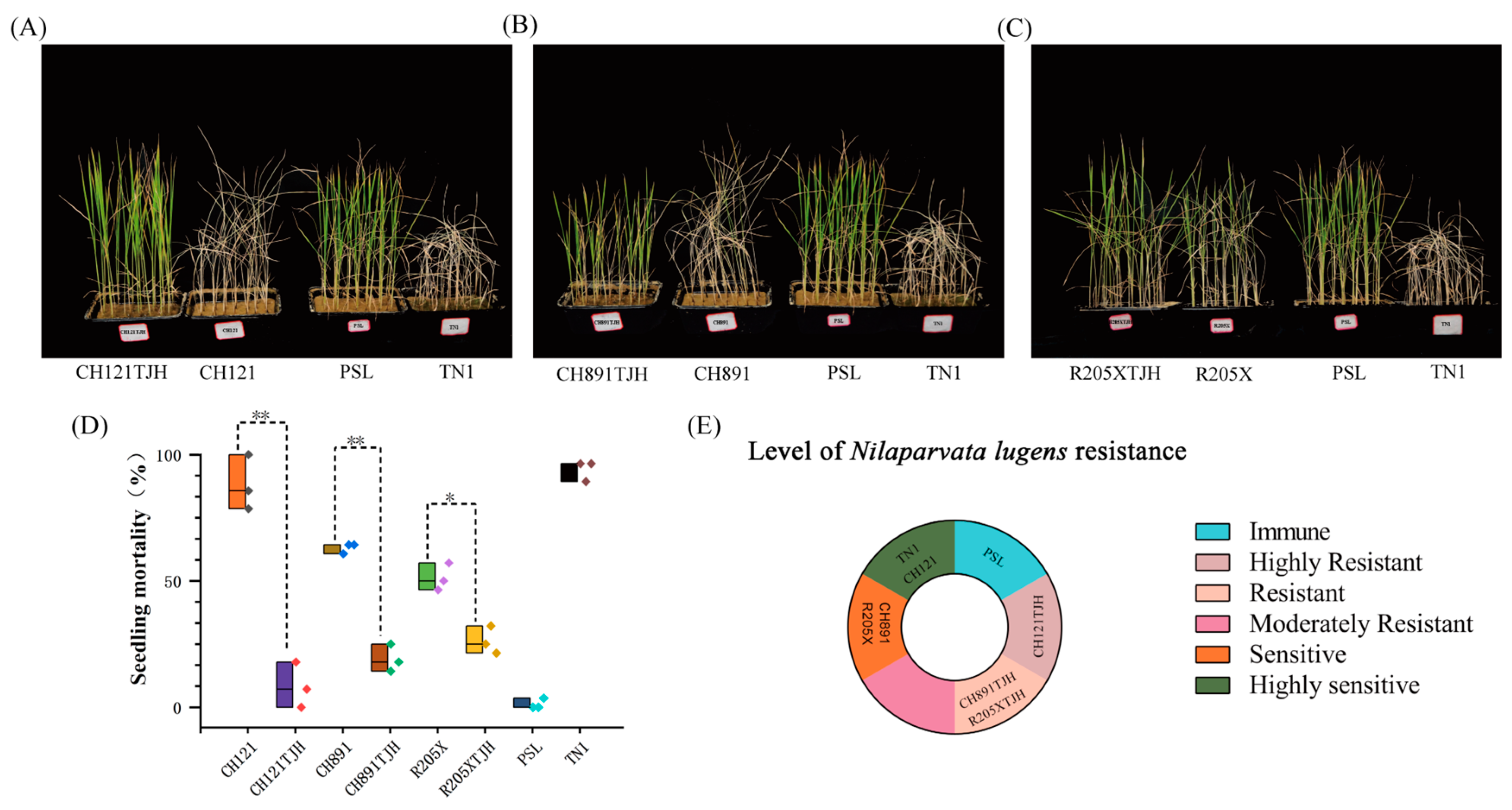 Genes 14 01070 g006 Genes 14 01070 g006