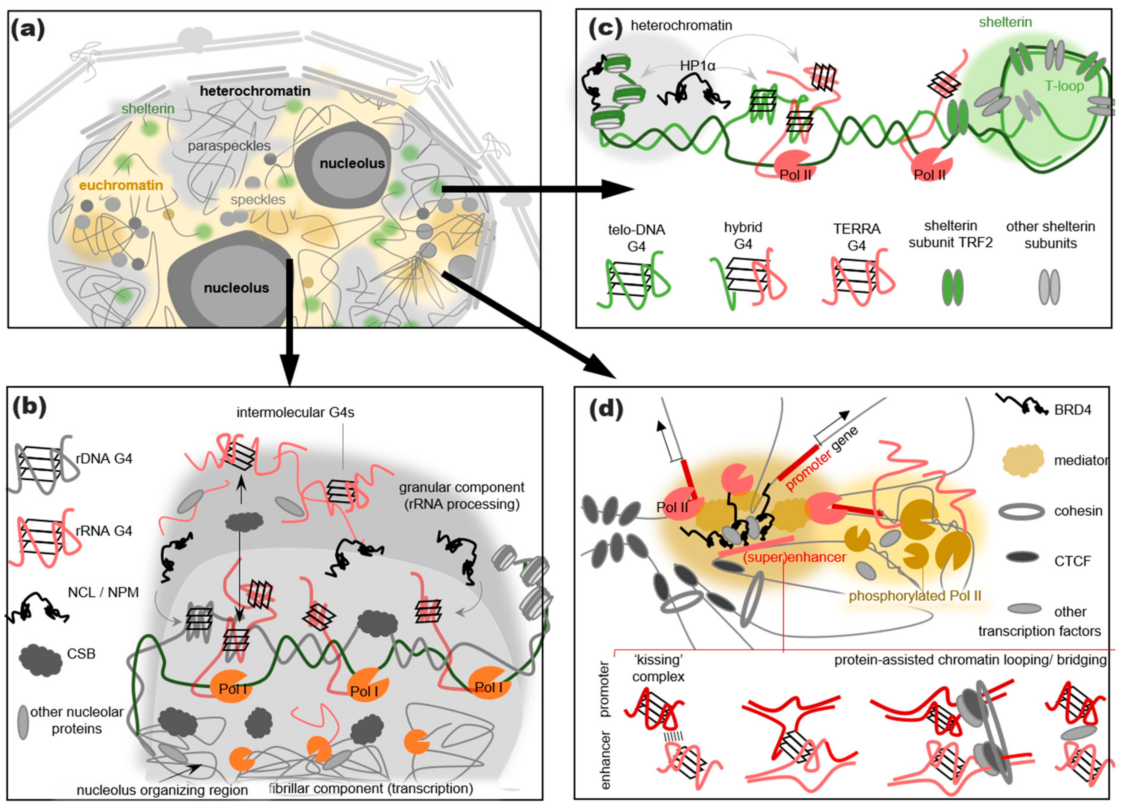Genes 14 01076 g003 Genes 14 01076 g003