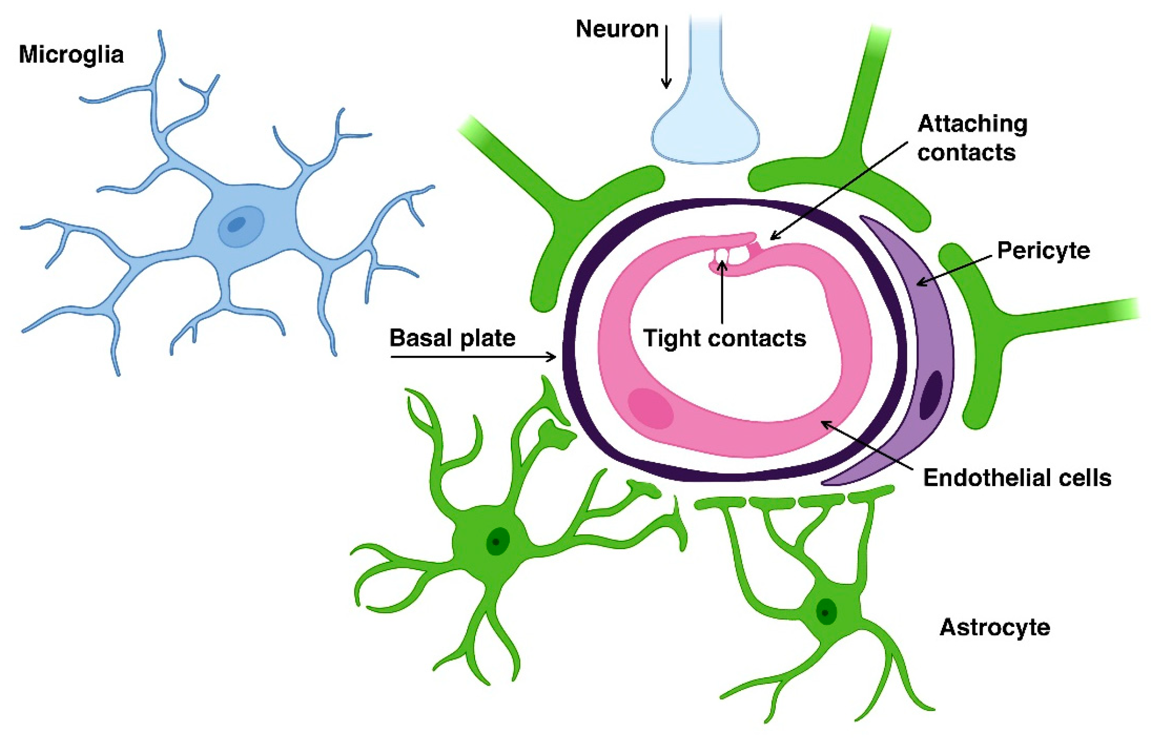 Genes 14 01085 g002 Genes 14 01085 g002
