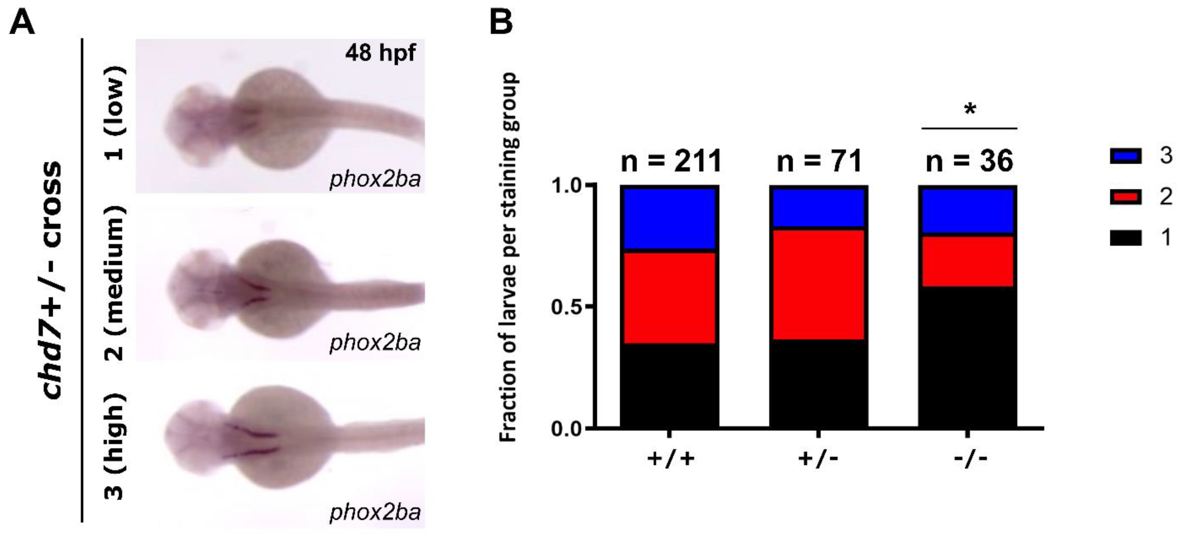 Genes 14 01086 g001 Genes 14 01086 g001