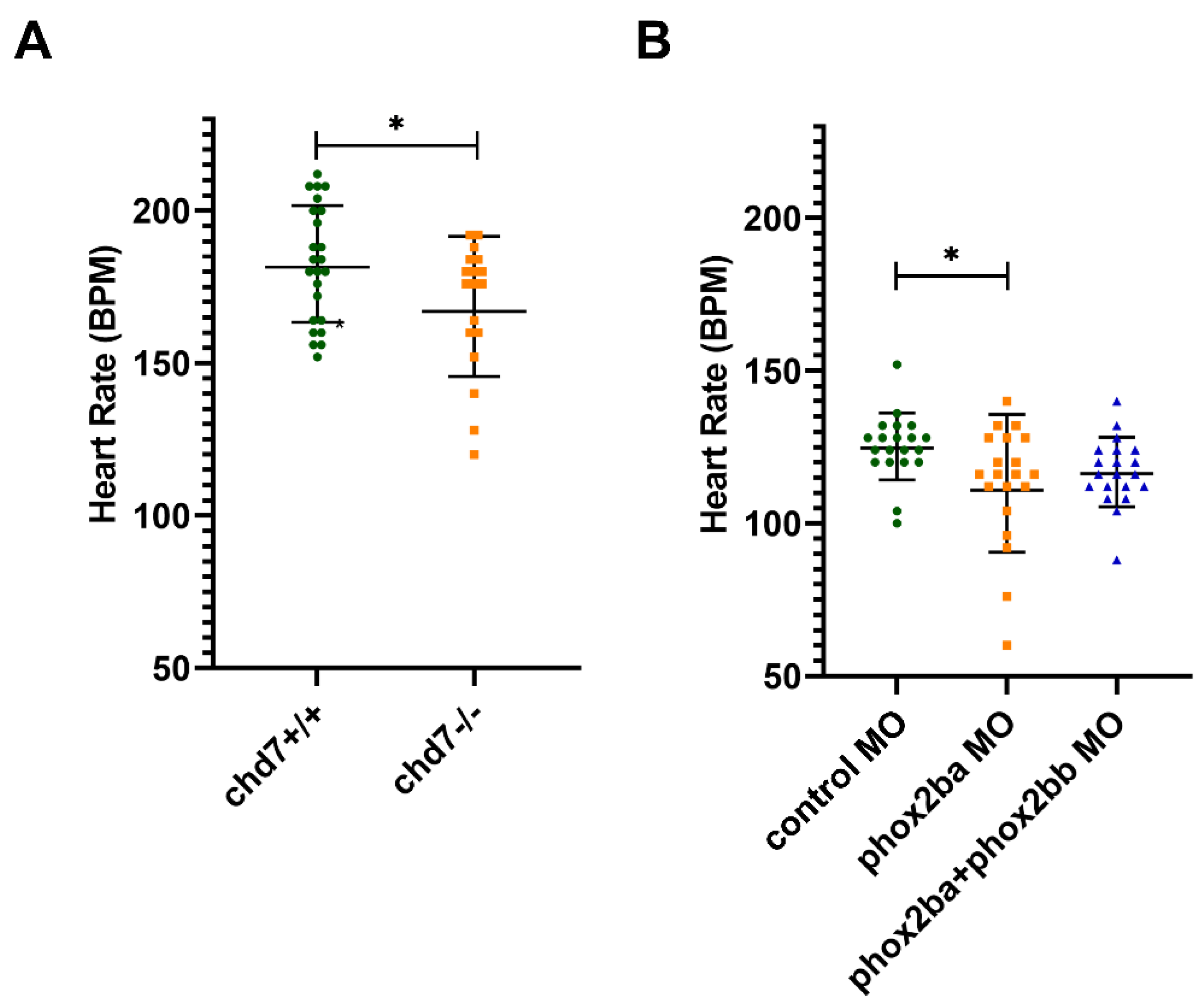 Genes 14 01086 g002 Genes 14 01086 g002