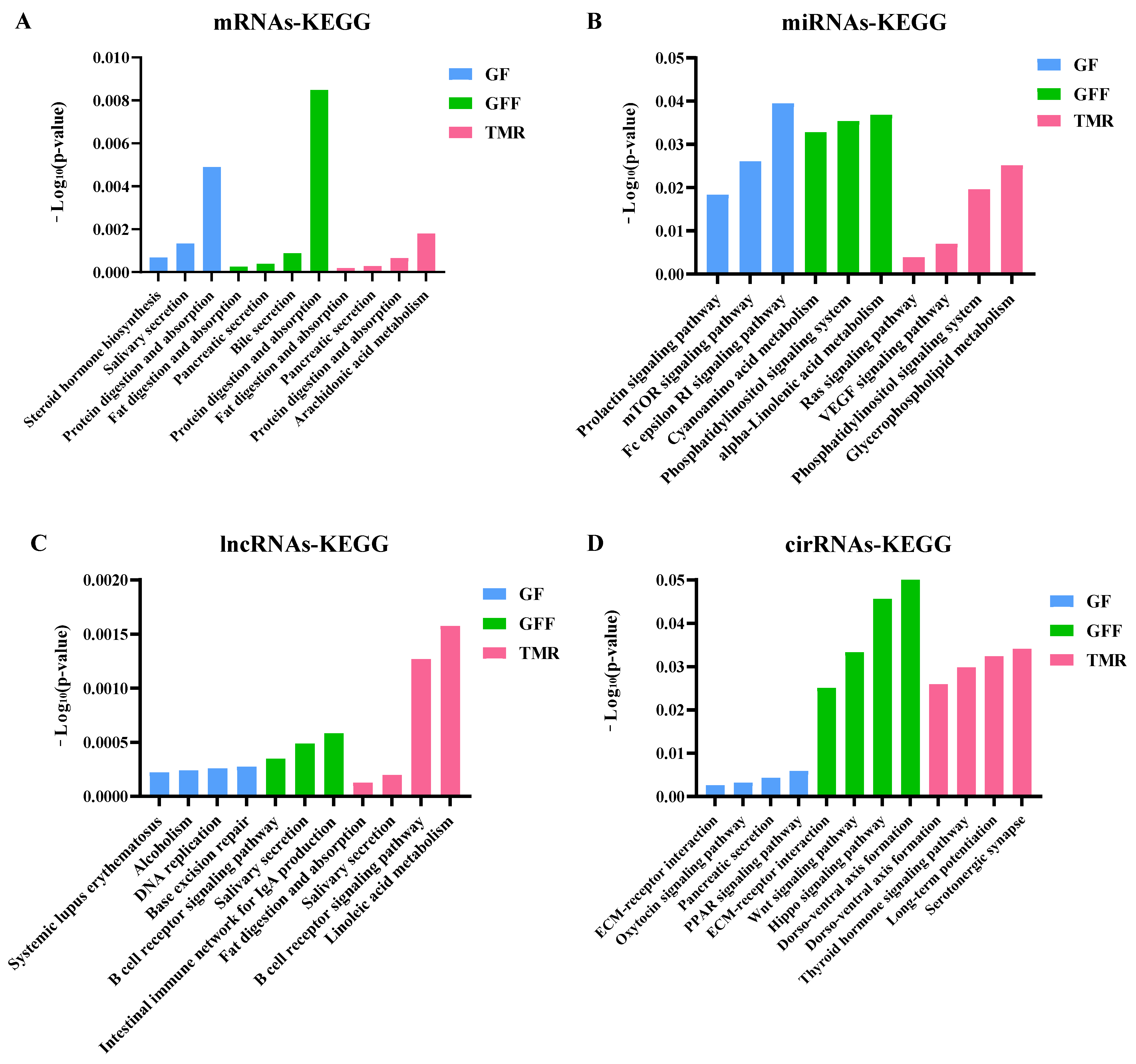 Genes 14 01093 g008 Genes 14 01093 g008