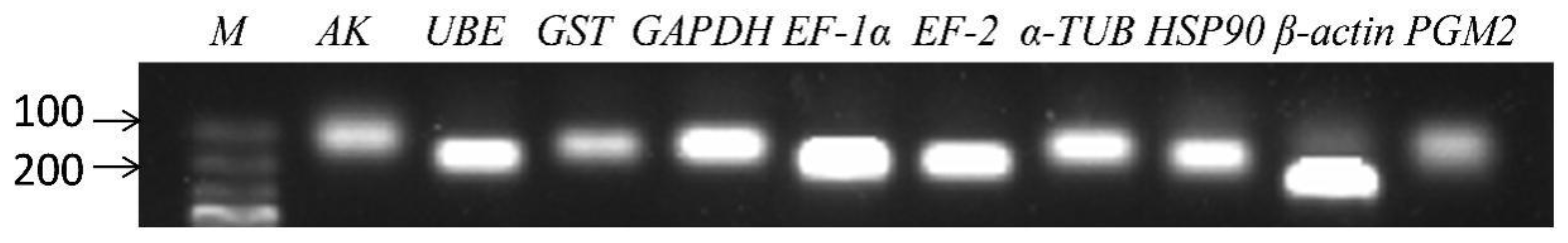 Genes 14 01099 g001 Genes 14 01099 g001