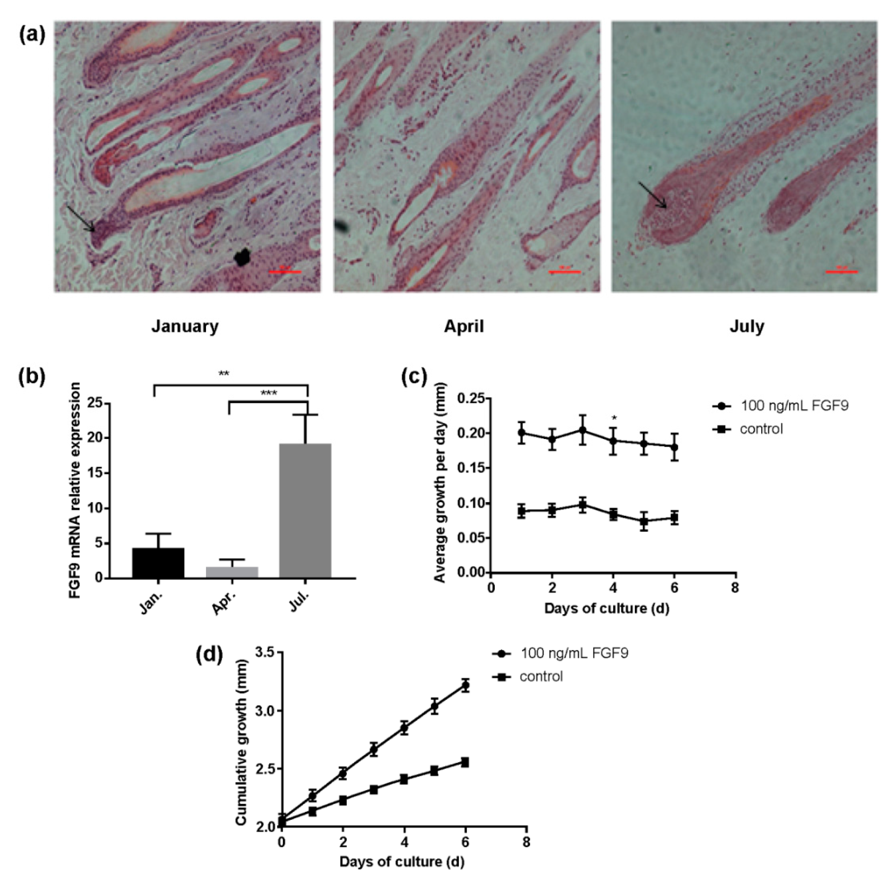 Genes 14 01106 g001 Genes 14 01106 g001