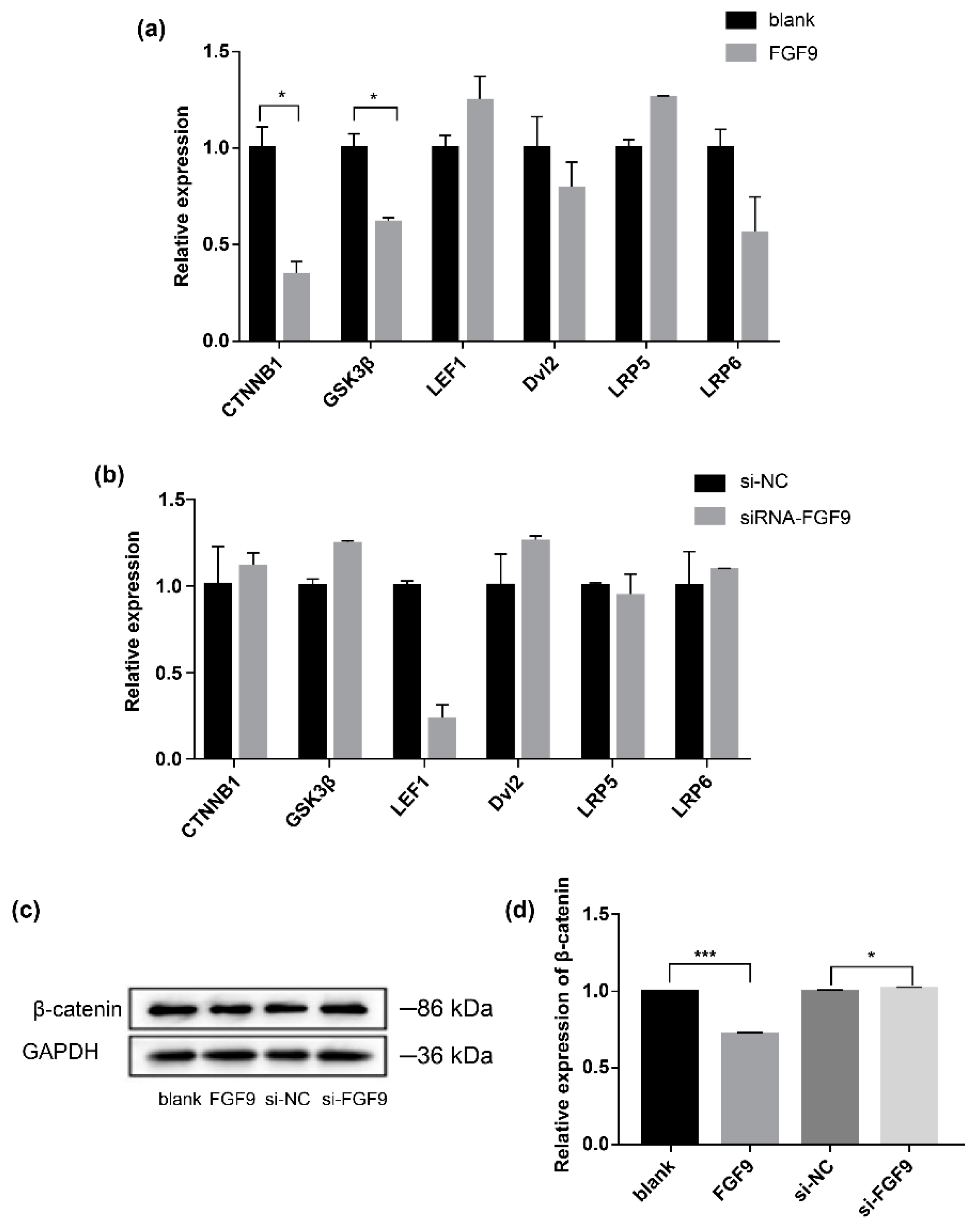 Genes 14 01106 g004 Genes 14 01106 g004