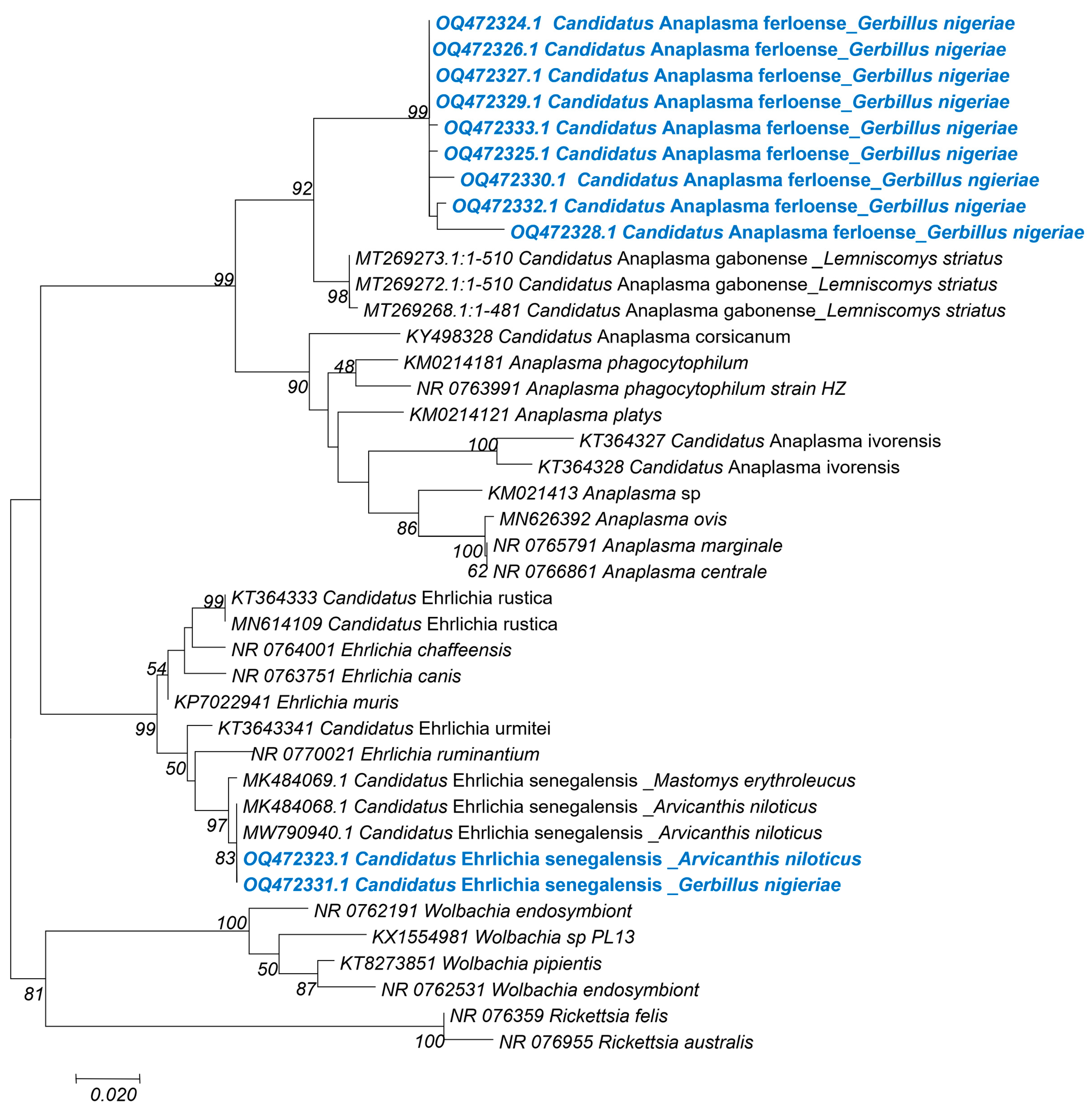 Genes 14 01107 g003 Genes 14 01107 g003