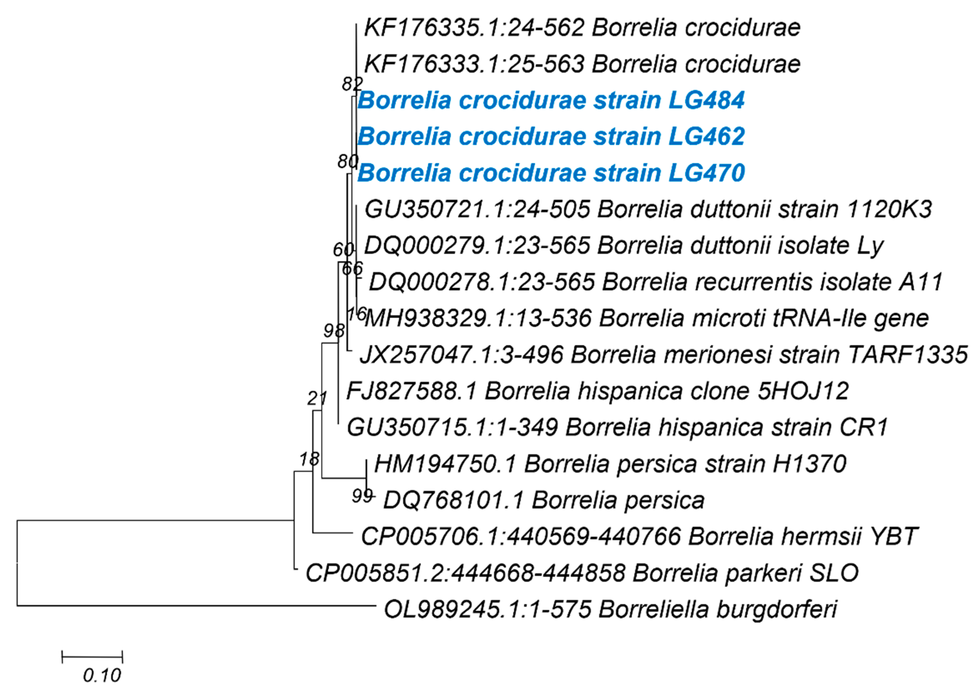 Genes 14 01107 g005 Genes 14 01107 g005
