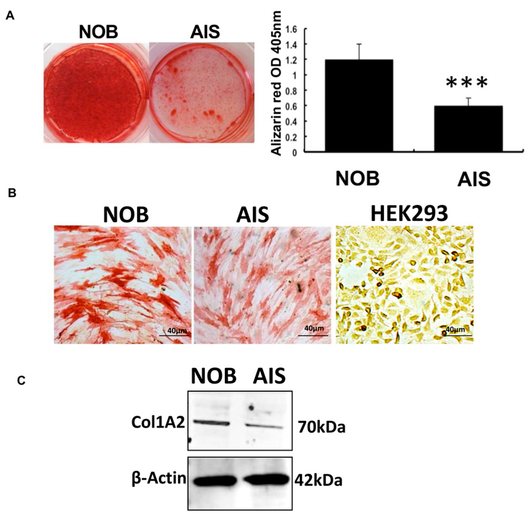 Genes 14 01111 g002 Genes 14 01111 g002