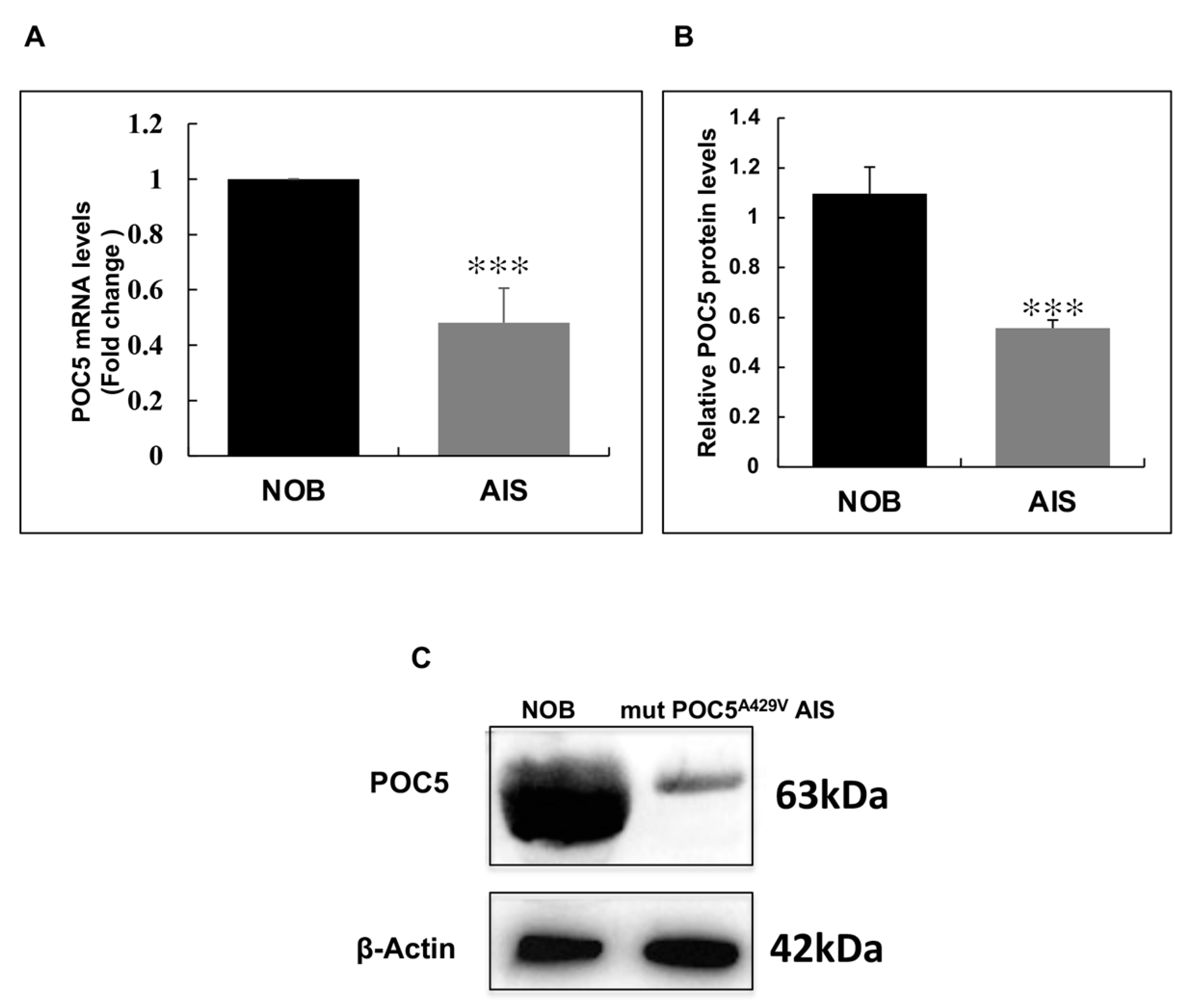 Genes 14 01111 g003 Genes 14 01111 g003