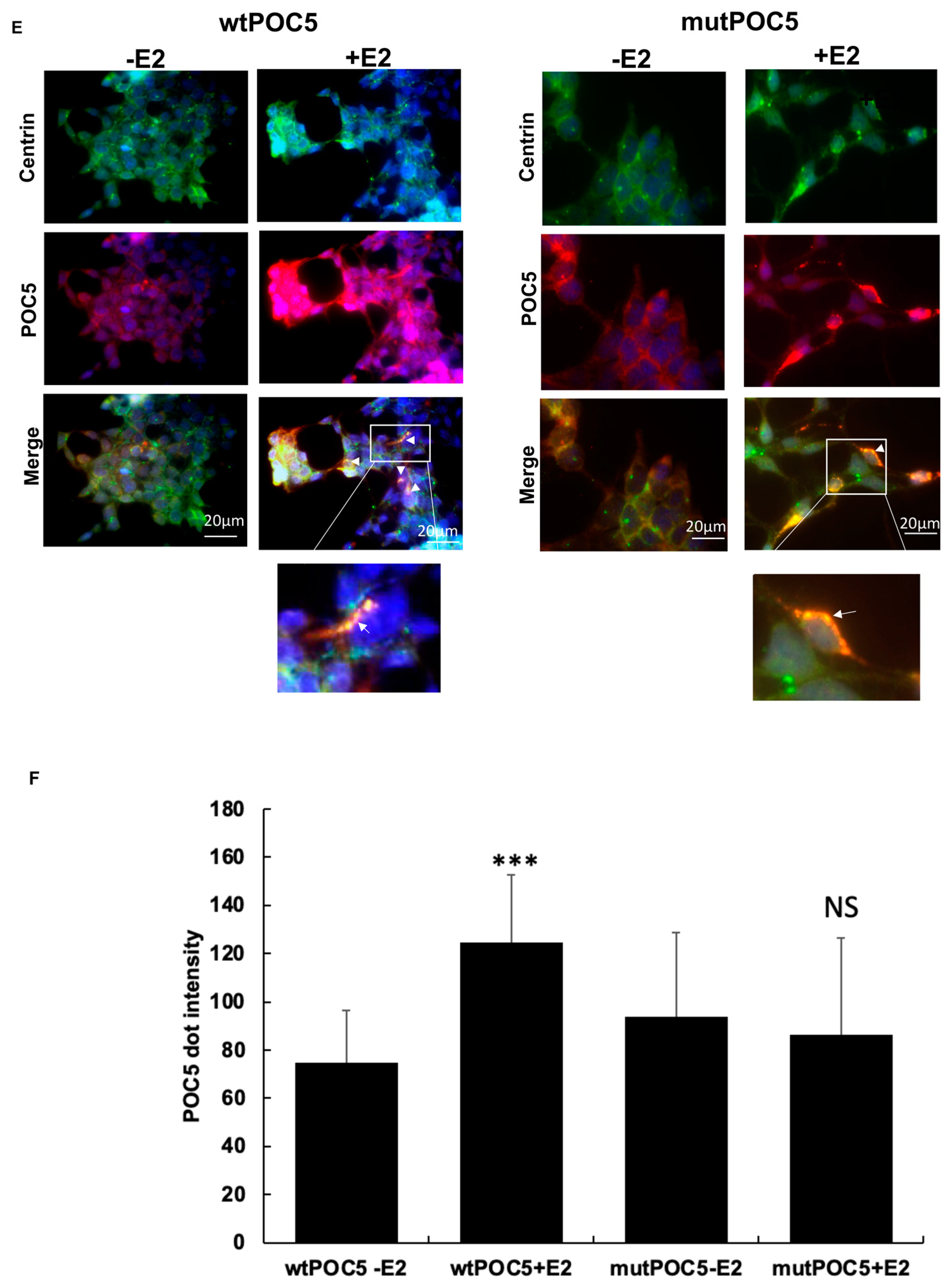Genes 14 01111 g004b Genes 14 01111 g004b