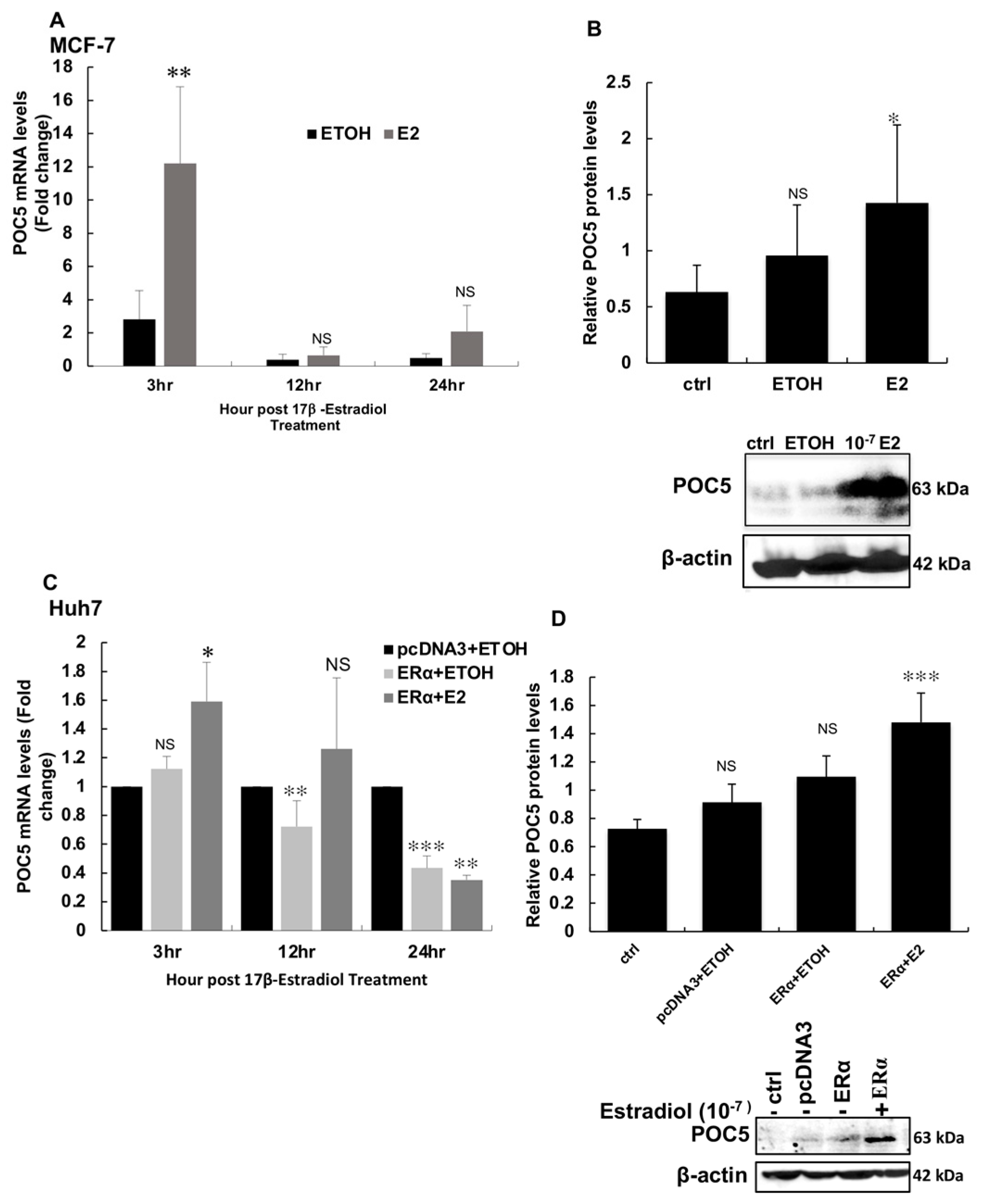 Genes 14 01111 g005 Genes 14 01111 g005