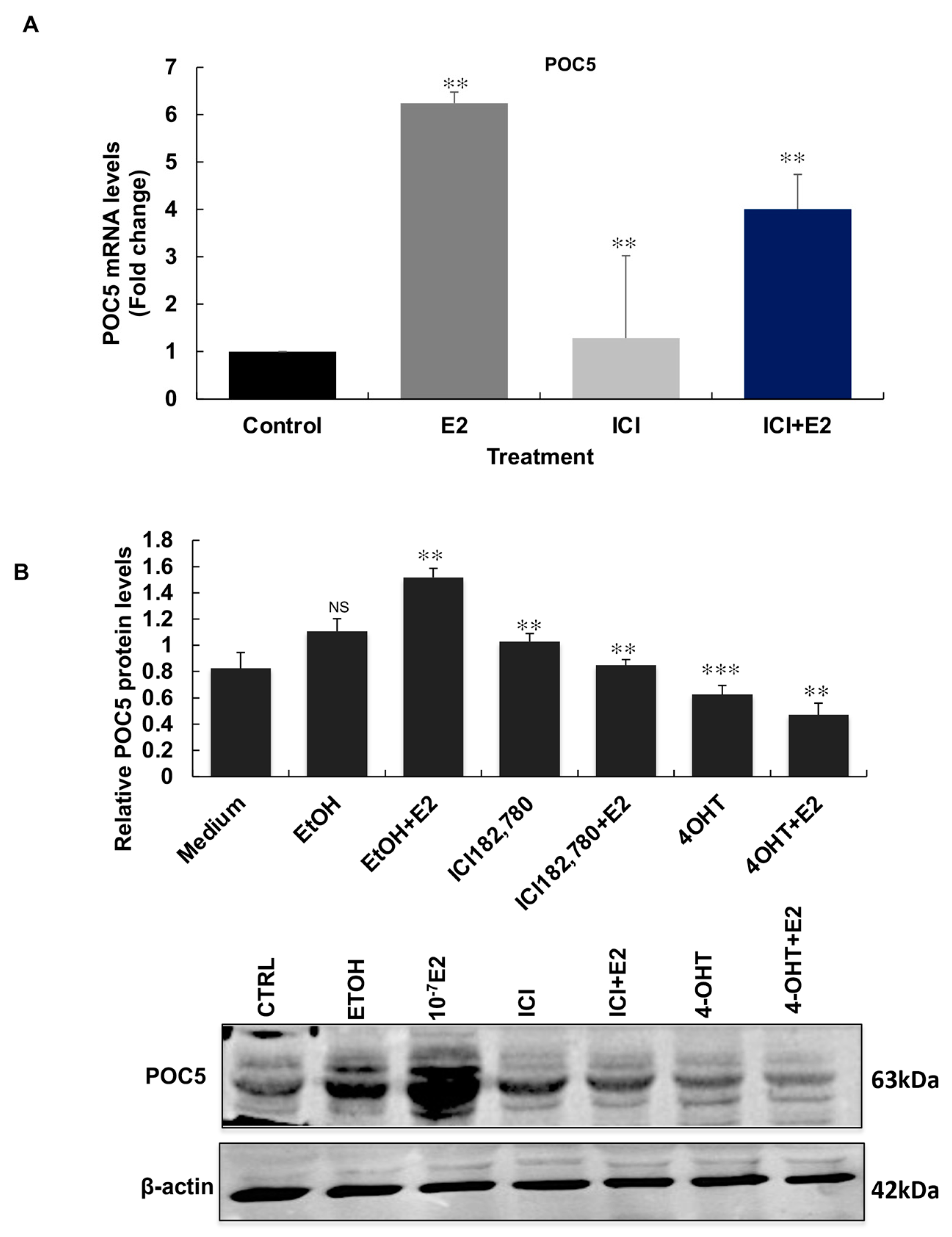 Genes 14 01111 g006 Genes 14 01111 g006