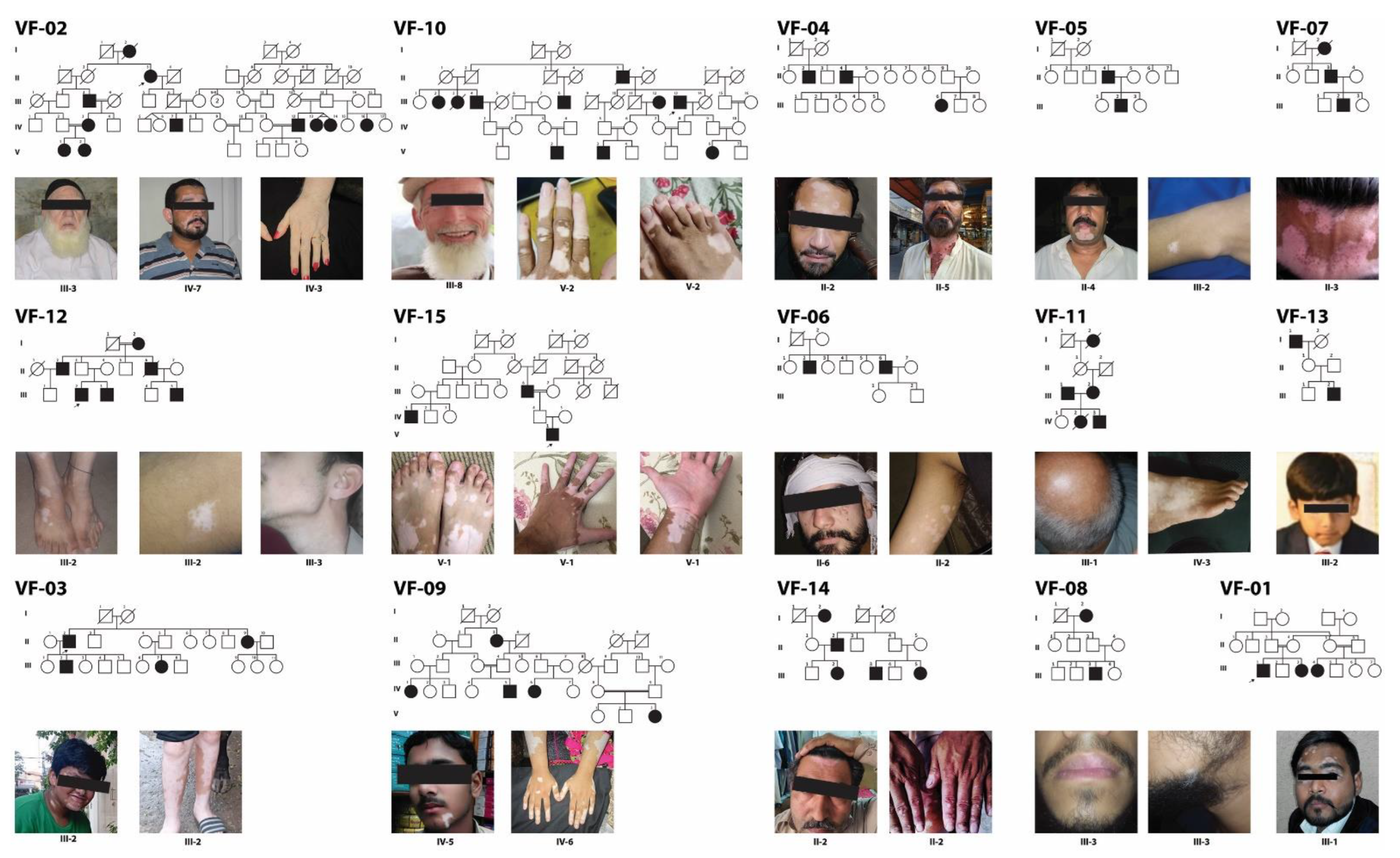 Genes 14 01118 g001 Genes 14 01118 g001