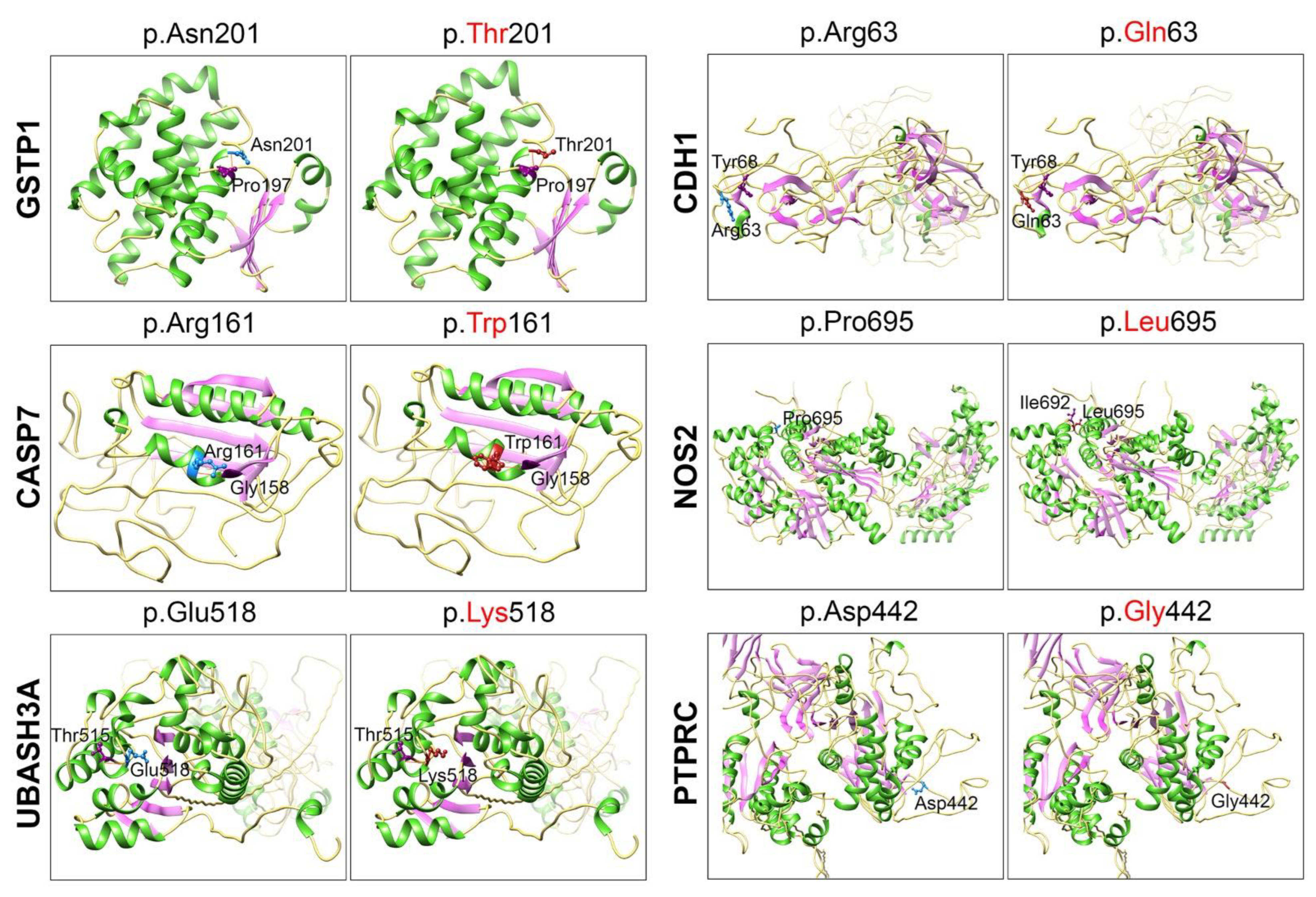 Genes 14 01118 g004 Genes 14 01118 g004