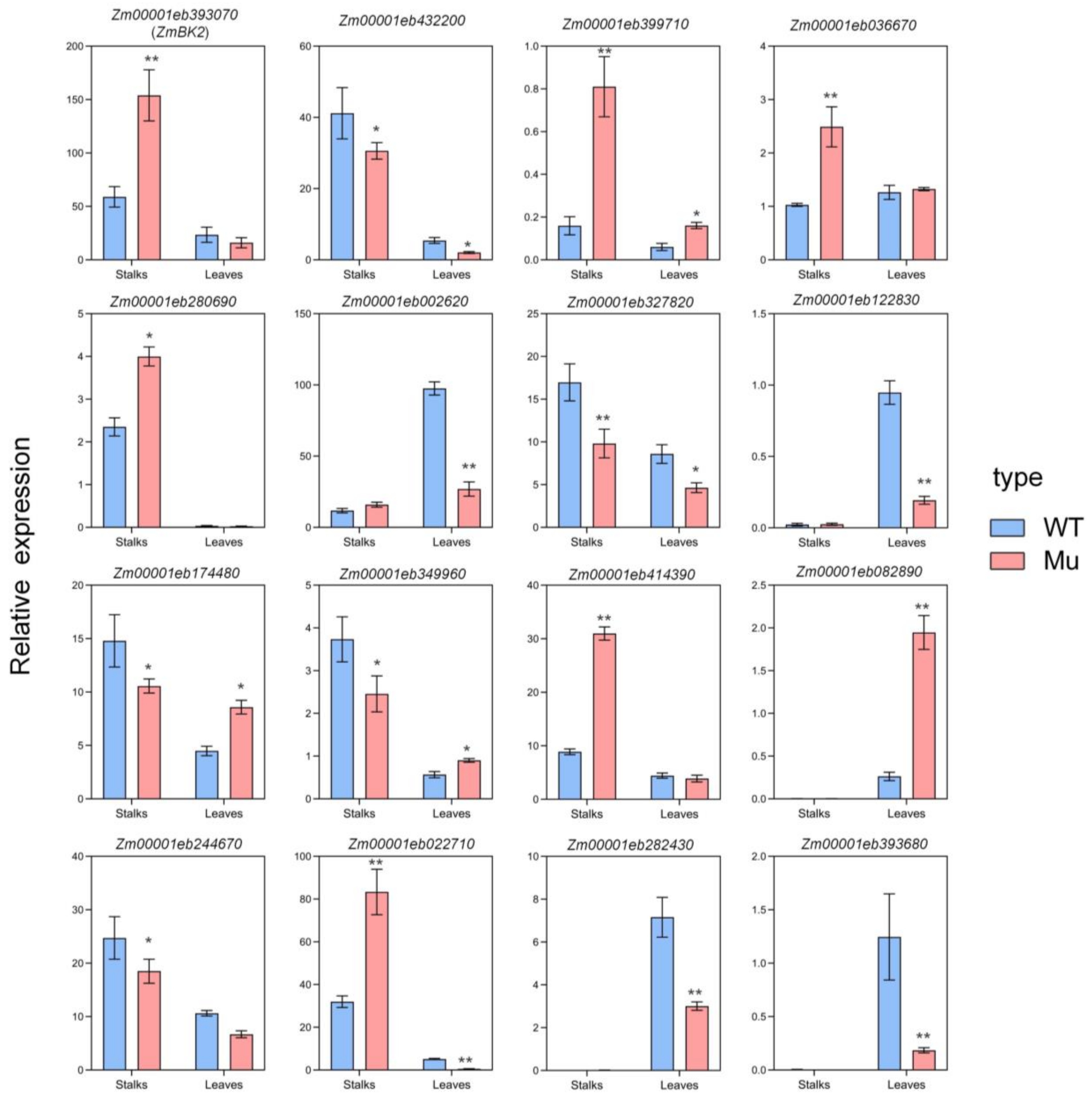 Genes 14 01126 g007 Genes 14 01126 g007