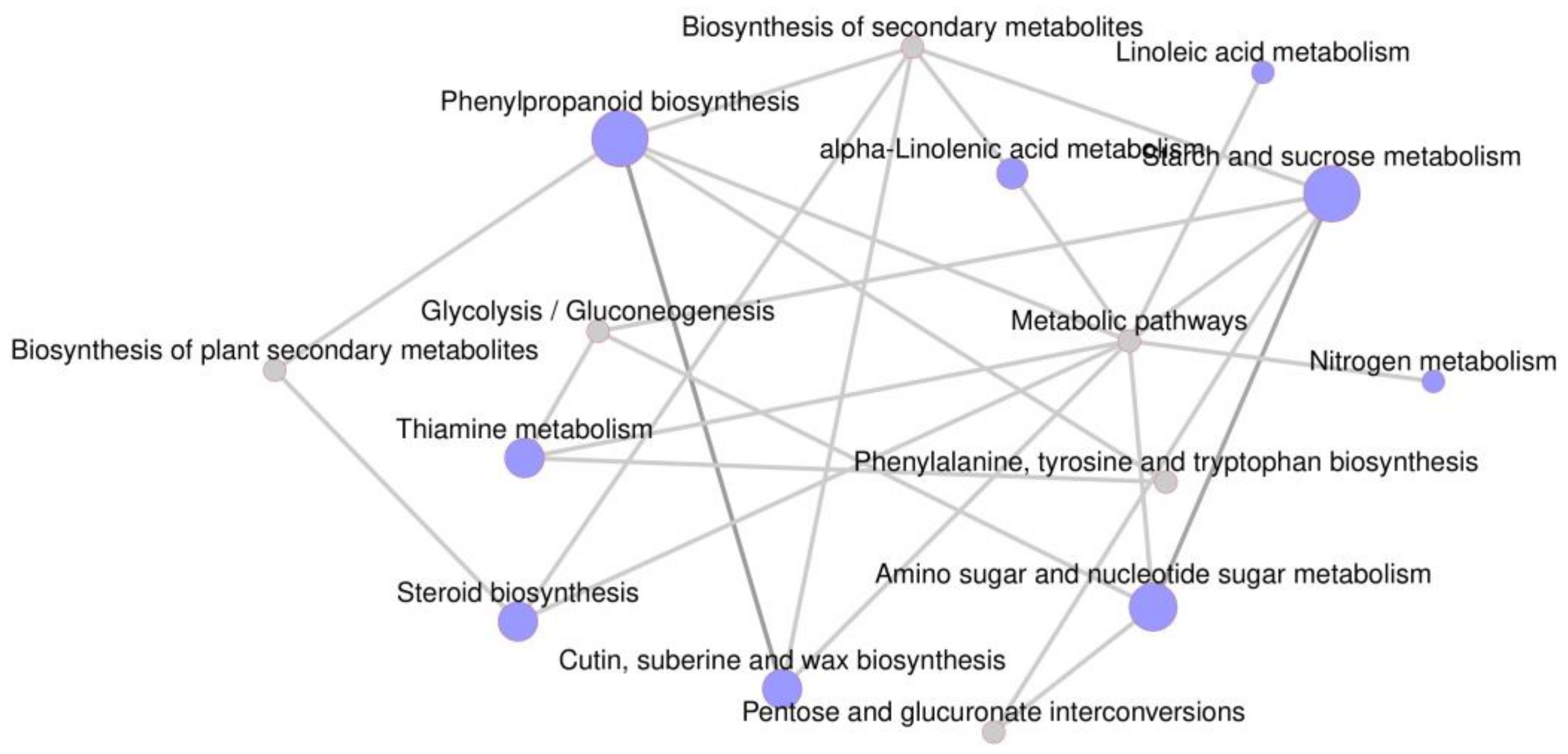 Genes 14 01126 g009 Genes 14 01126 g009