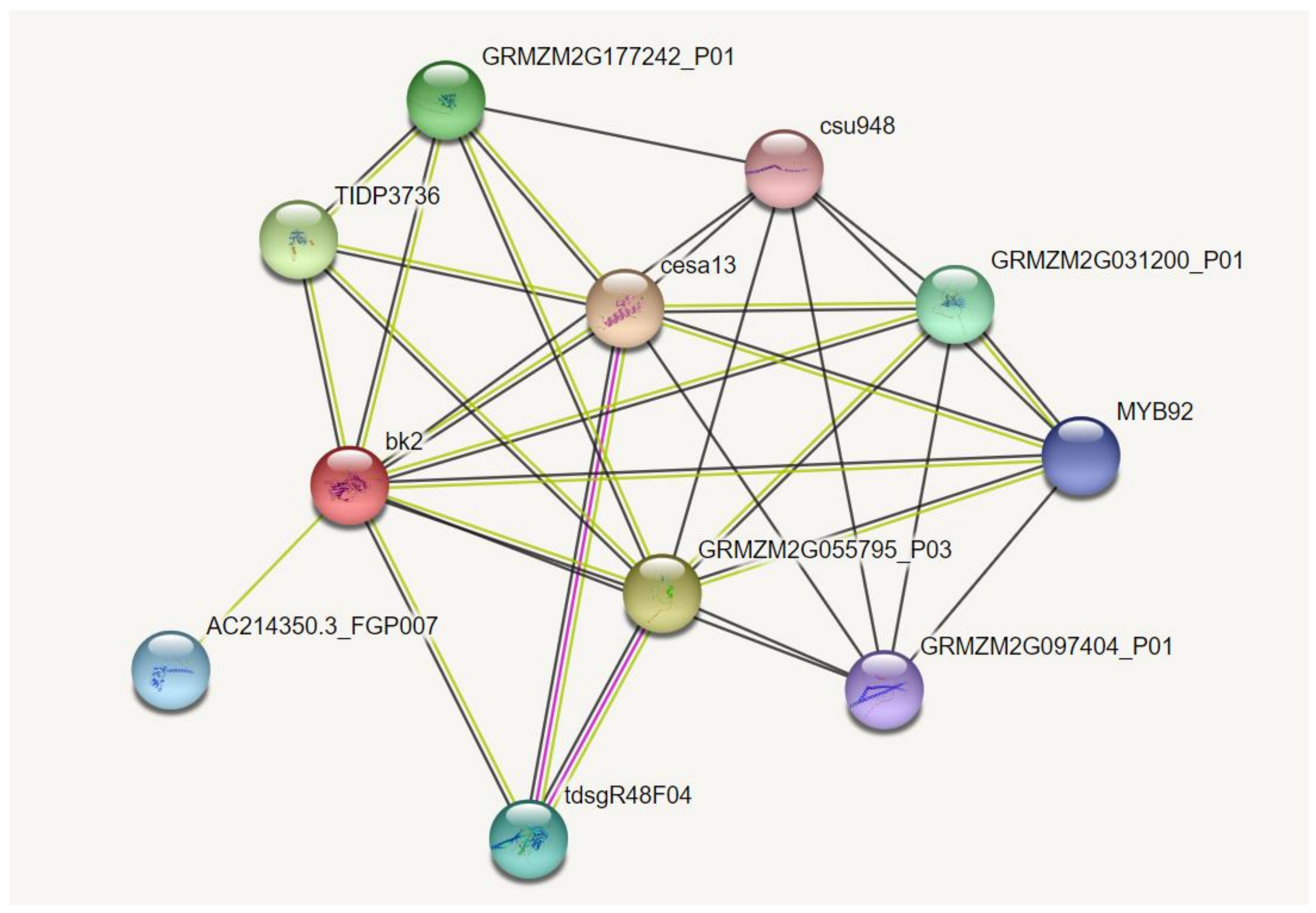 Genes 14 01126 g010 Genes 14 01126 g010
