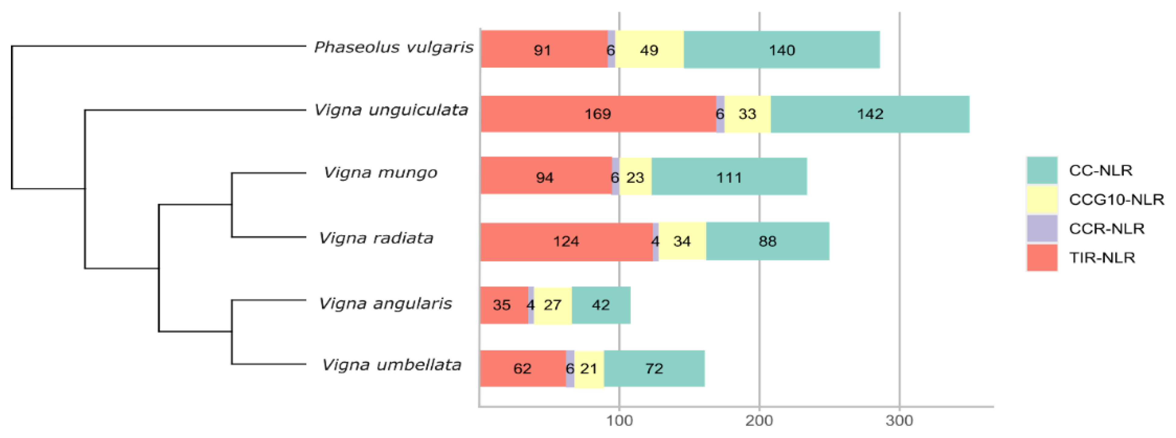 Genes 14 01129 g001 Genes 14 01129 g001