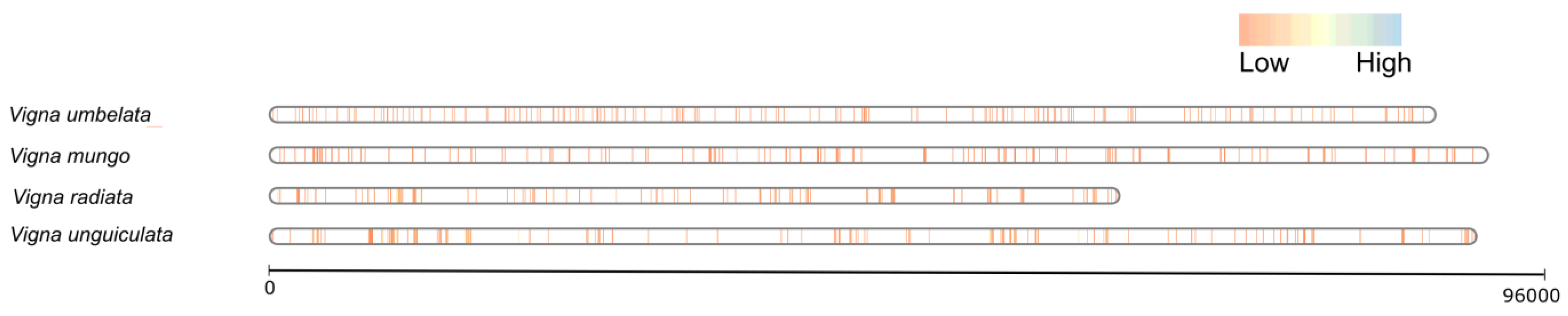 Genes 14 01129 g002 Genes 14 01129 g002
